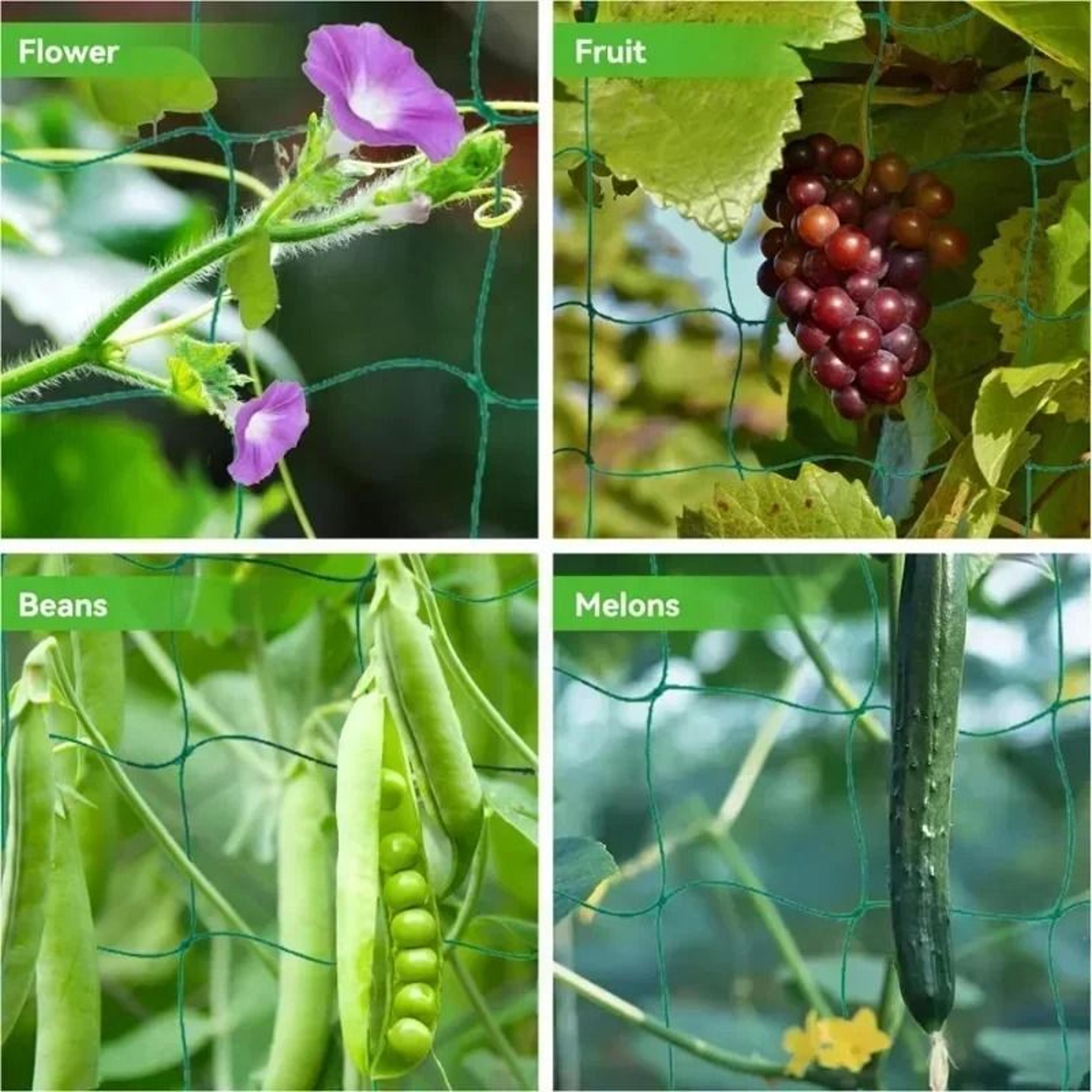 Garden Climbing Net For Vegetables And Fruits 5
