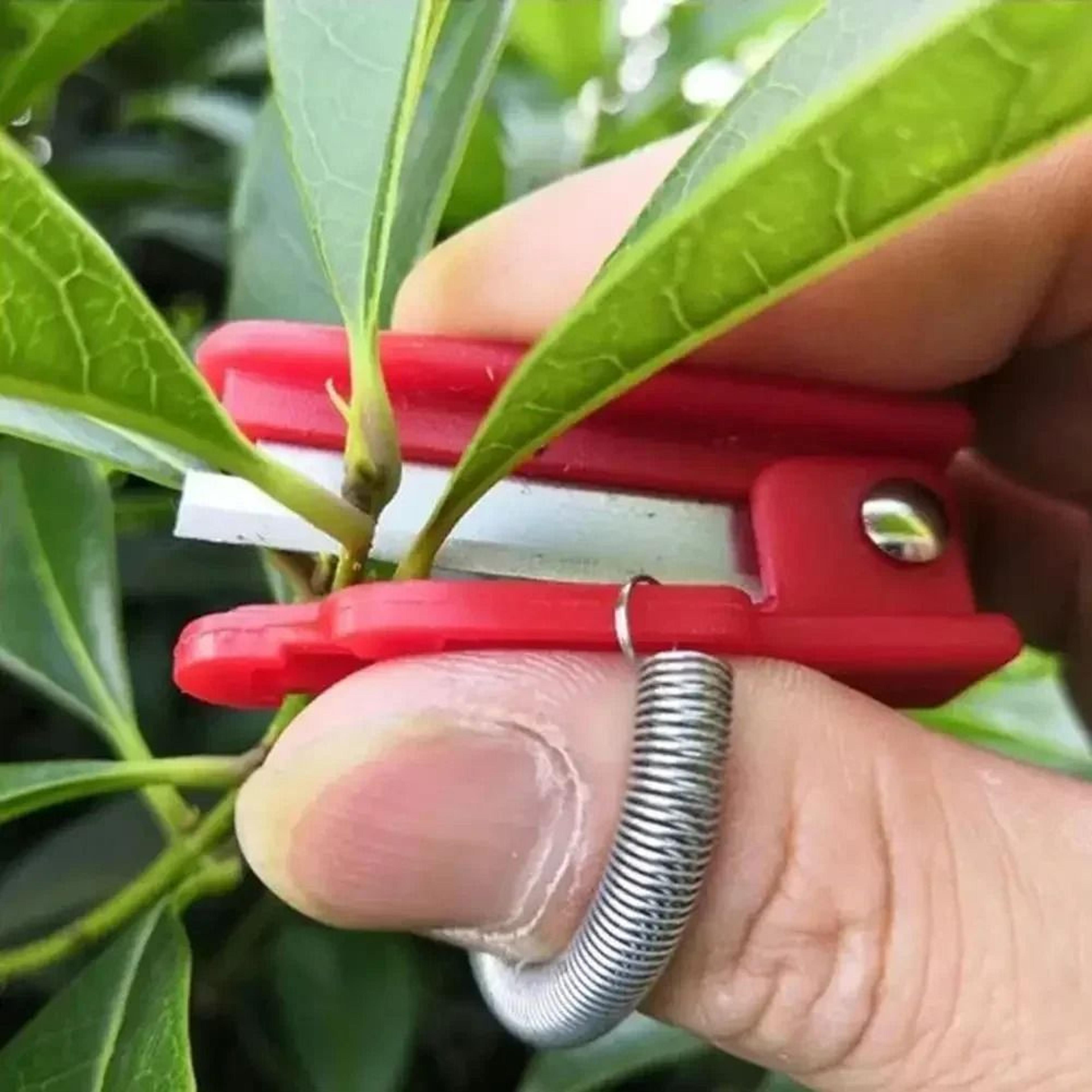 Thumb Knife Garden Pruner For Fruit And Plant Harvesting 1