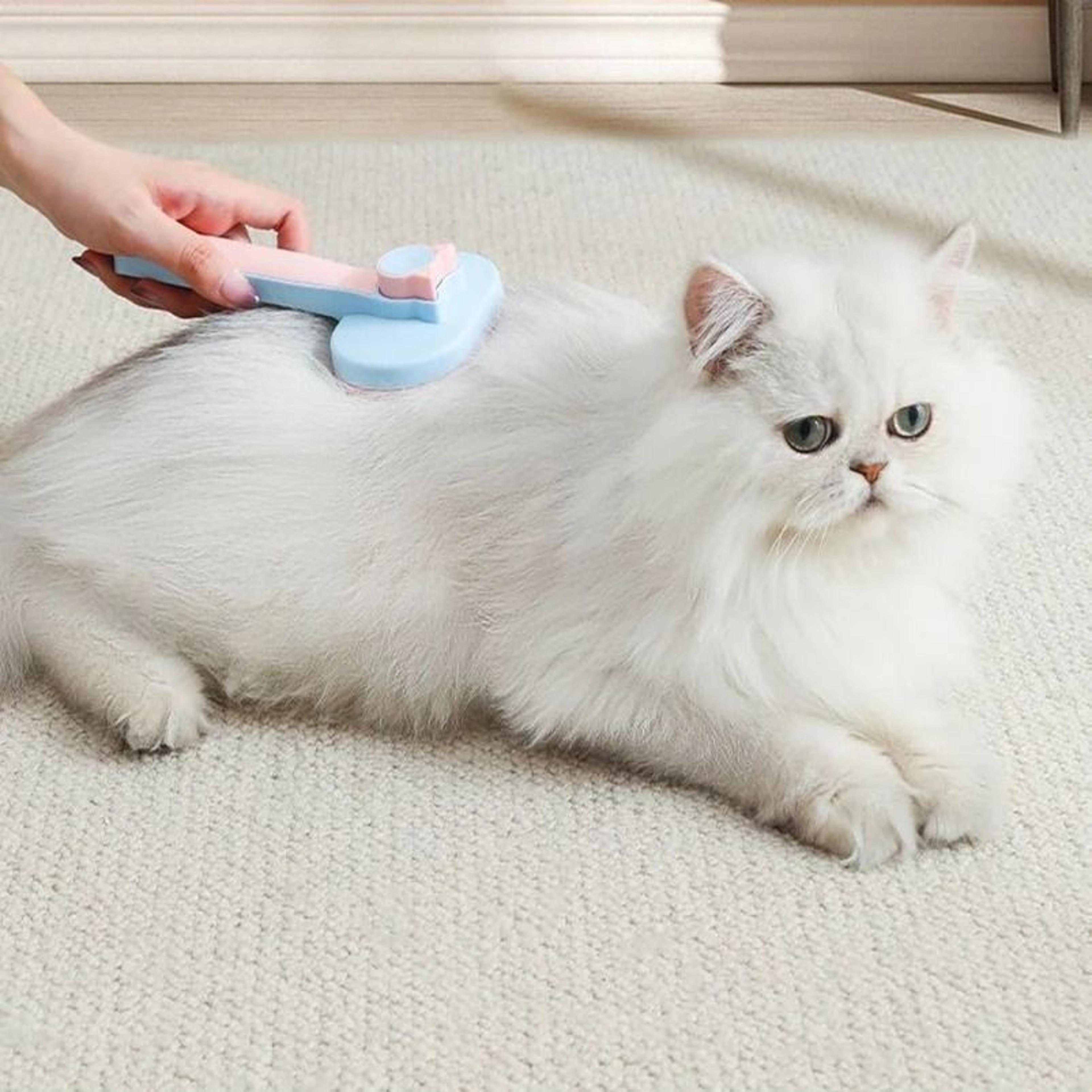 Pet Hair Removal Comb For Cats And Dogs 1