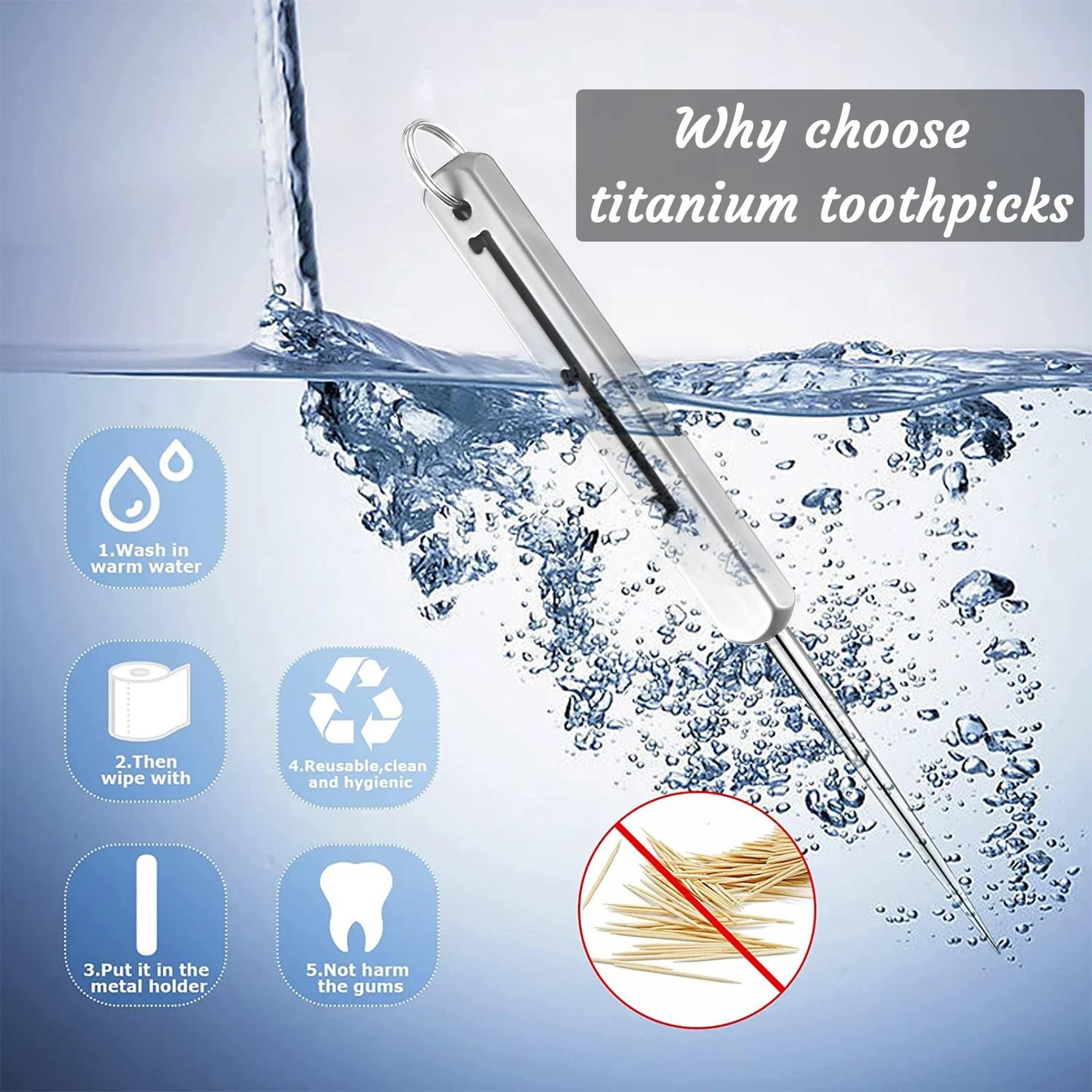 Premium Titanium Toothpick Travel Kit 2