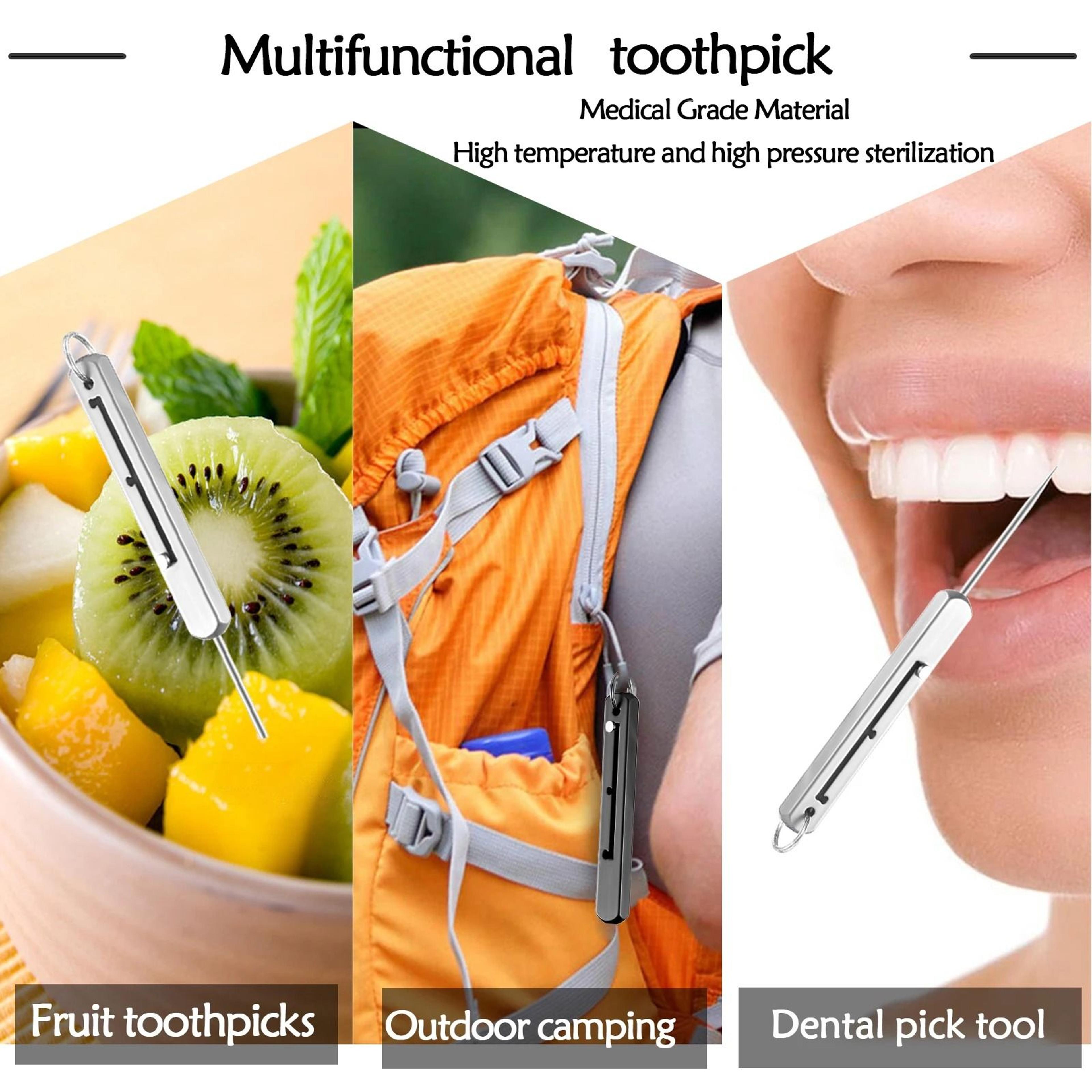 Premium Titanium Toothpick Travel Kit 5