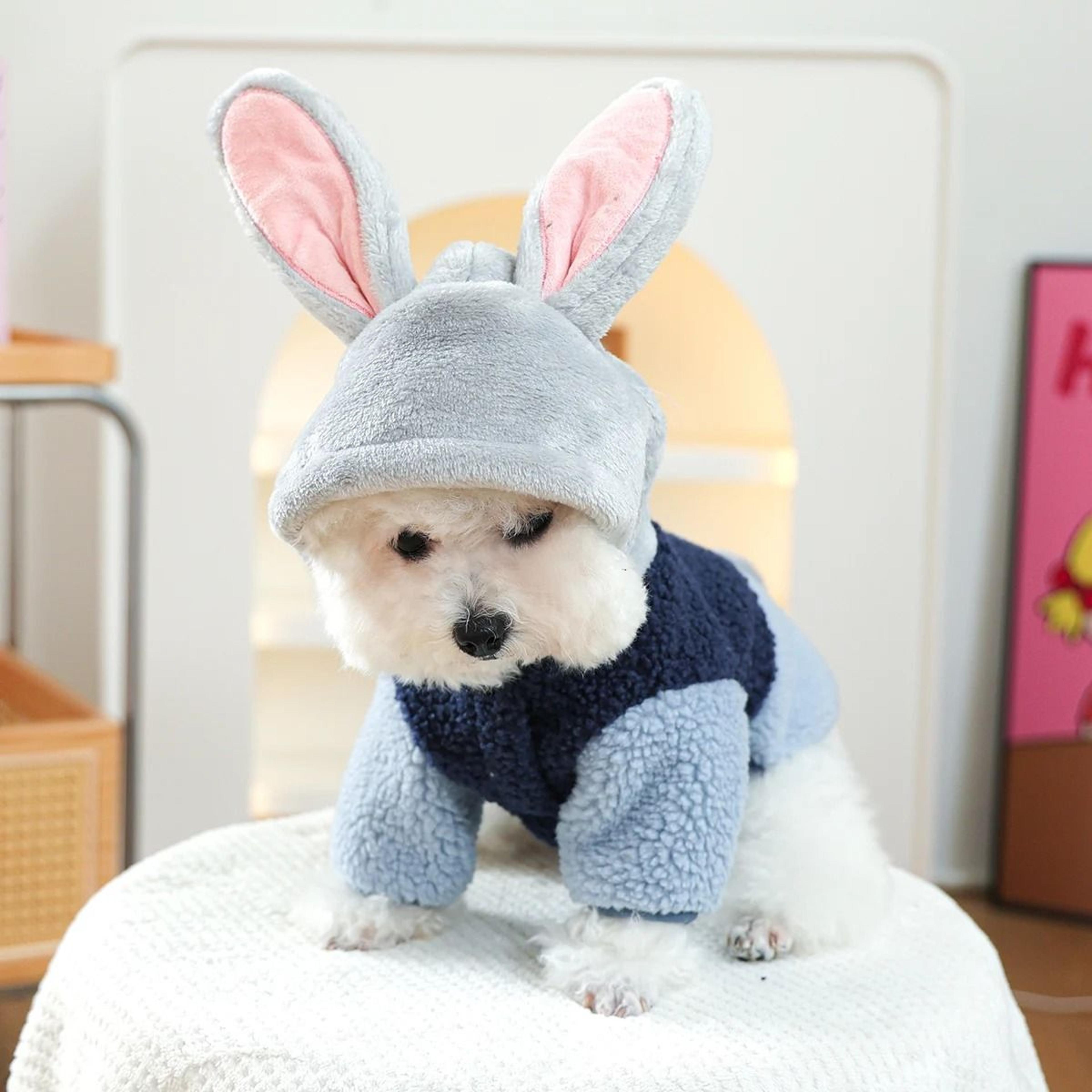 Cozy Rabbit Ear Hooded Pet Sweater For Autumn And Winter Warmth 1