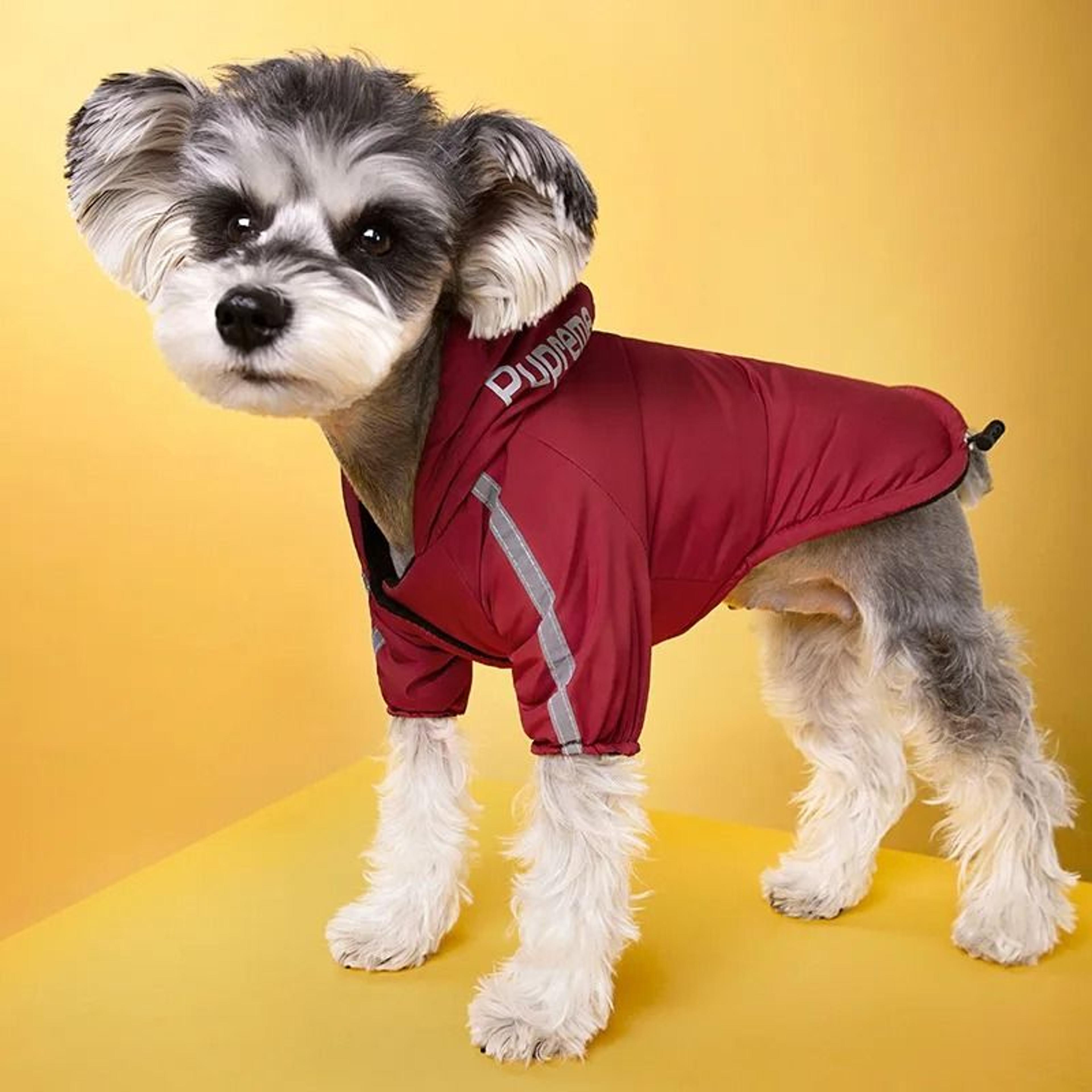 Waterproof Fleece Lined Dog Jacket For Winter Warmth 4