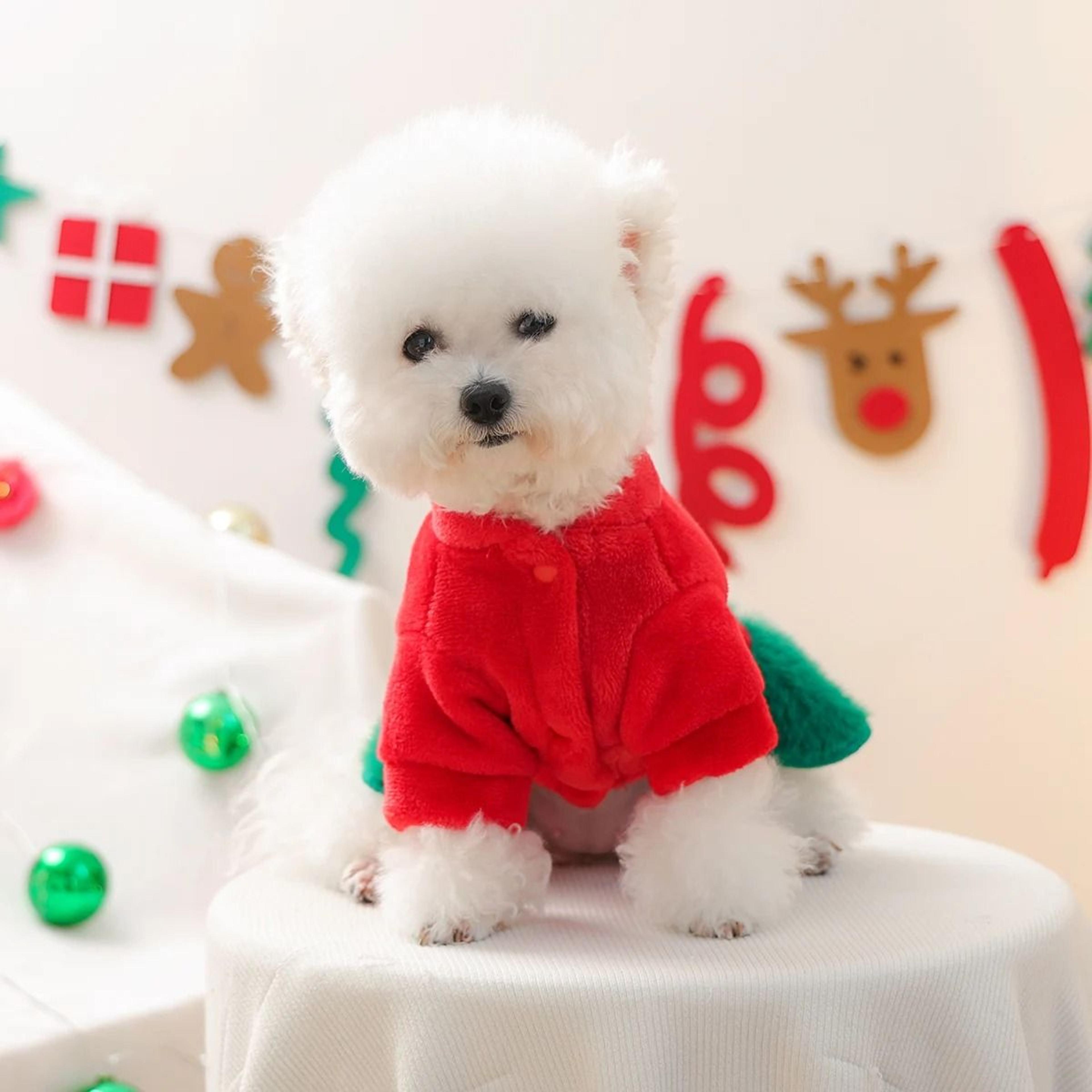 Christmas Bear Skirt Pet Dress For Cozy Holiday Warmth 3