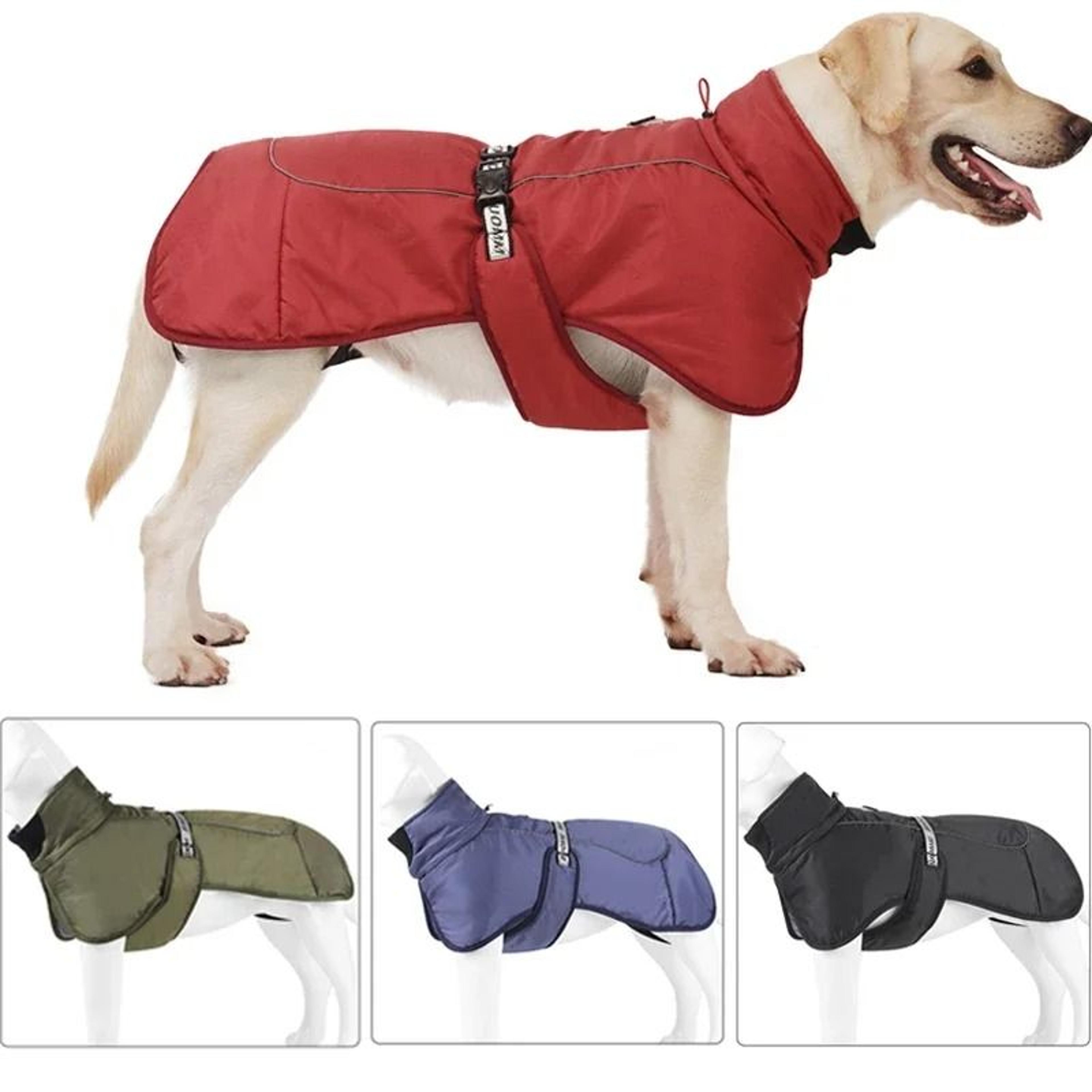 Winter Windproof Big Dog Jacket For Warmth And Outdoor Protection 0