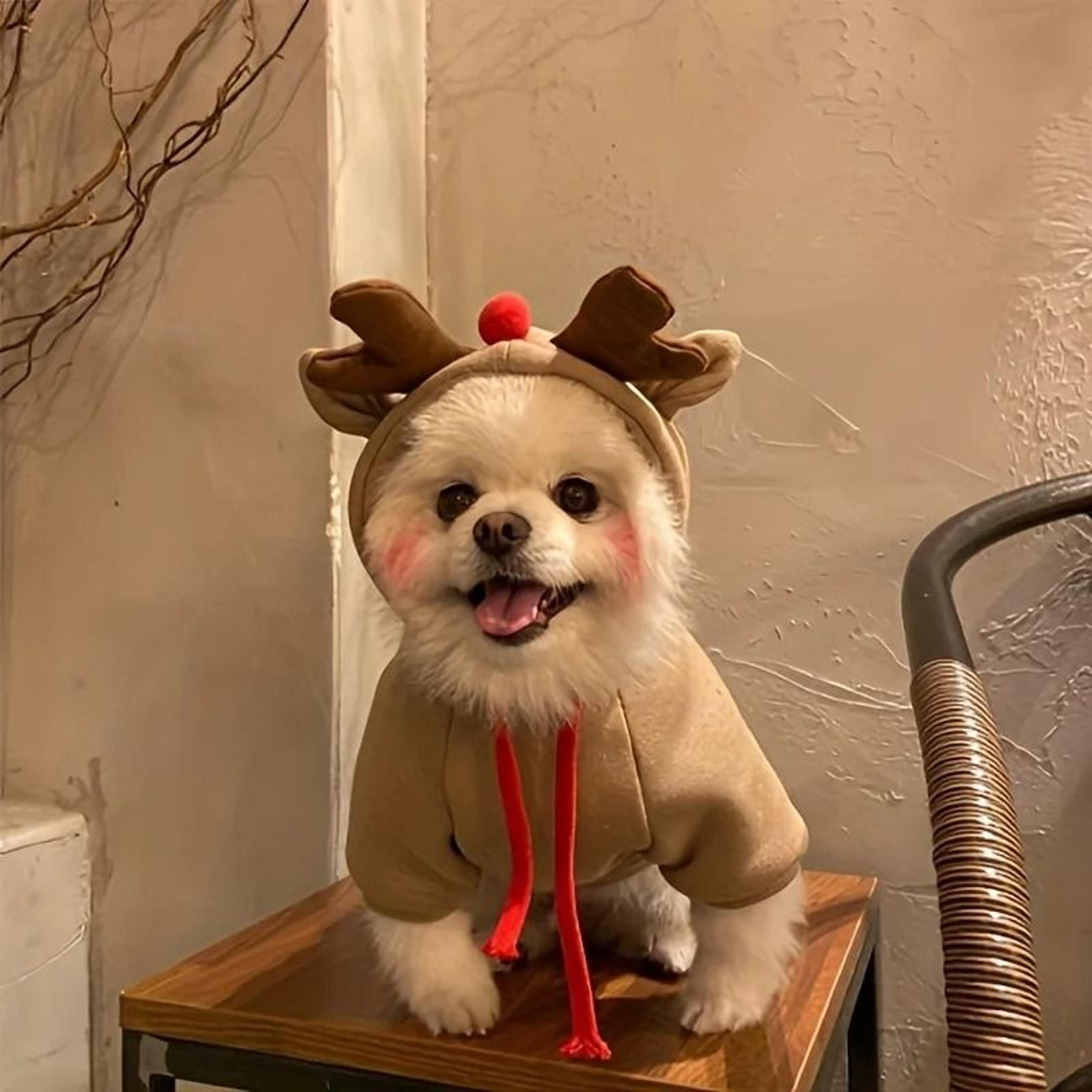 Cozy Elk Hooded Pet Sweater For Autumn And Winter Warmth 0