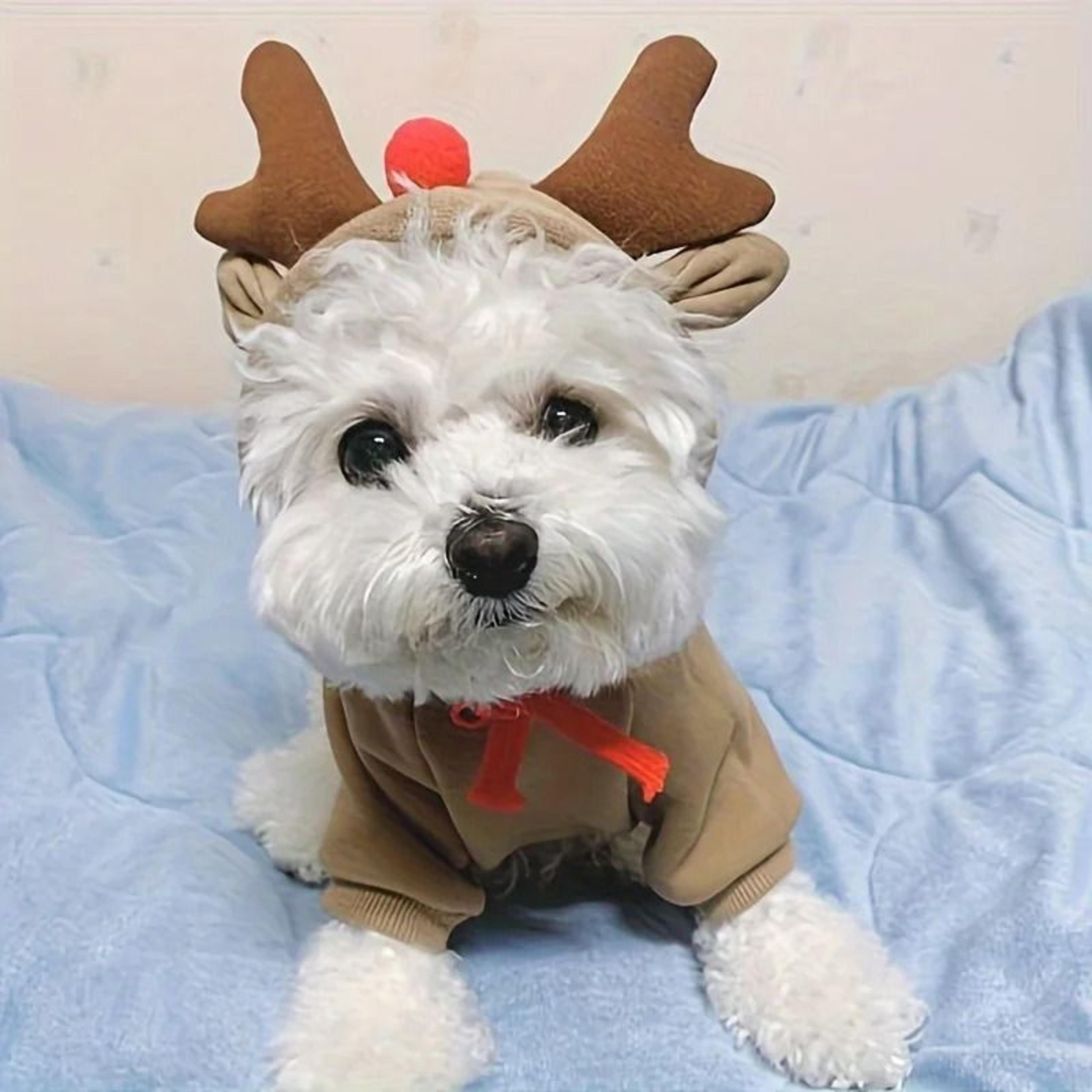 Cozy Elk Hooded Pet Sweater For Autumn And Winter Warmth 2