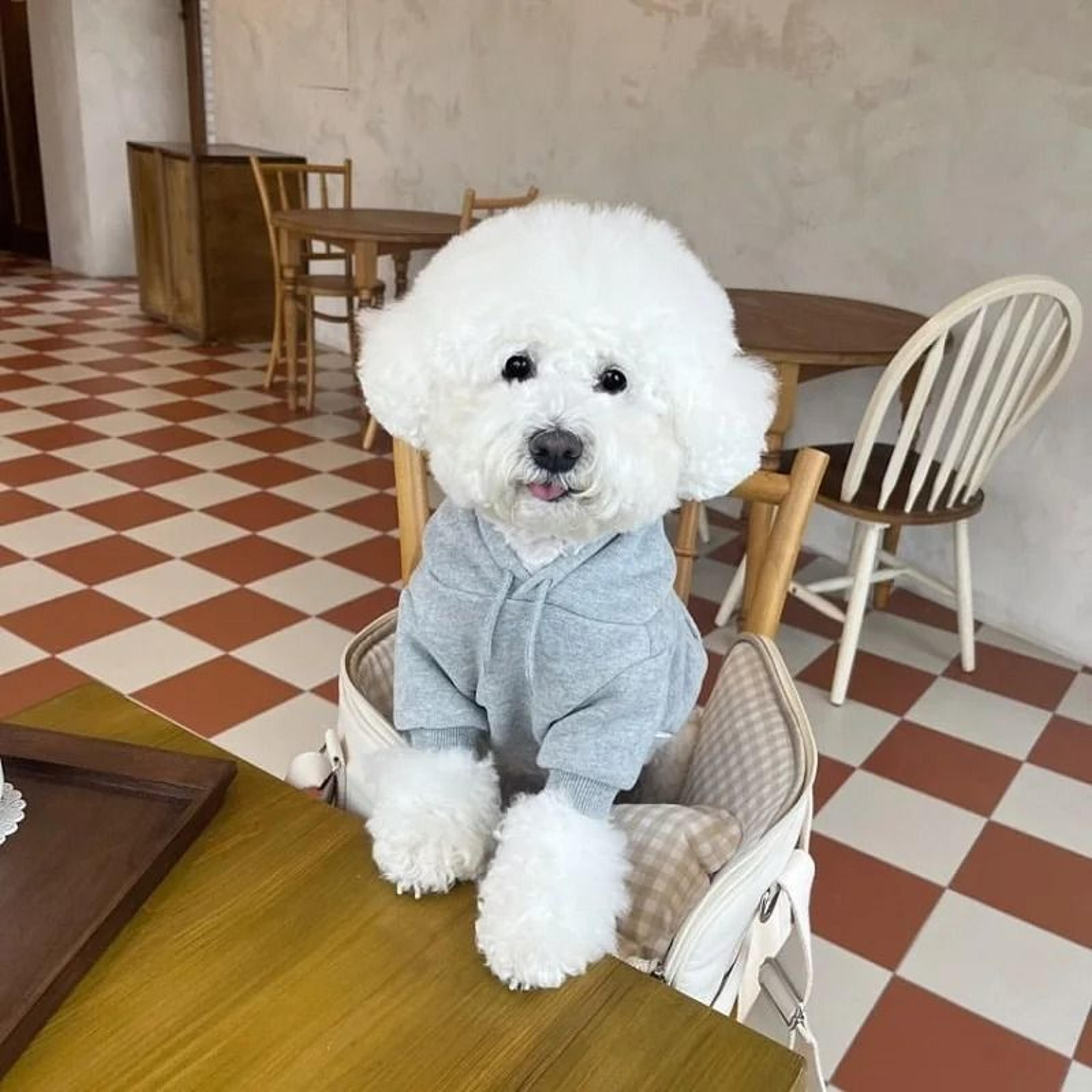 Winter Plush Hoodie For Dogs Warm Cozy Fashion Hoodie For Cold Weather 0