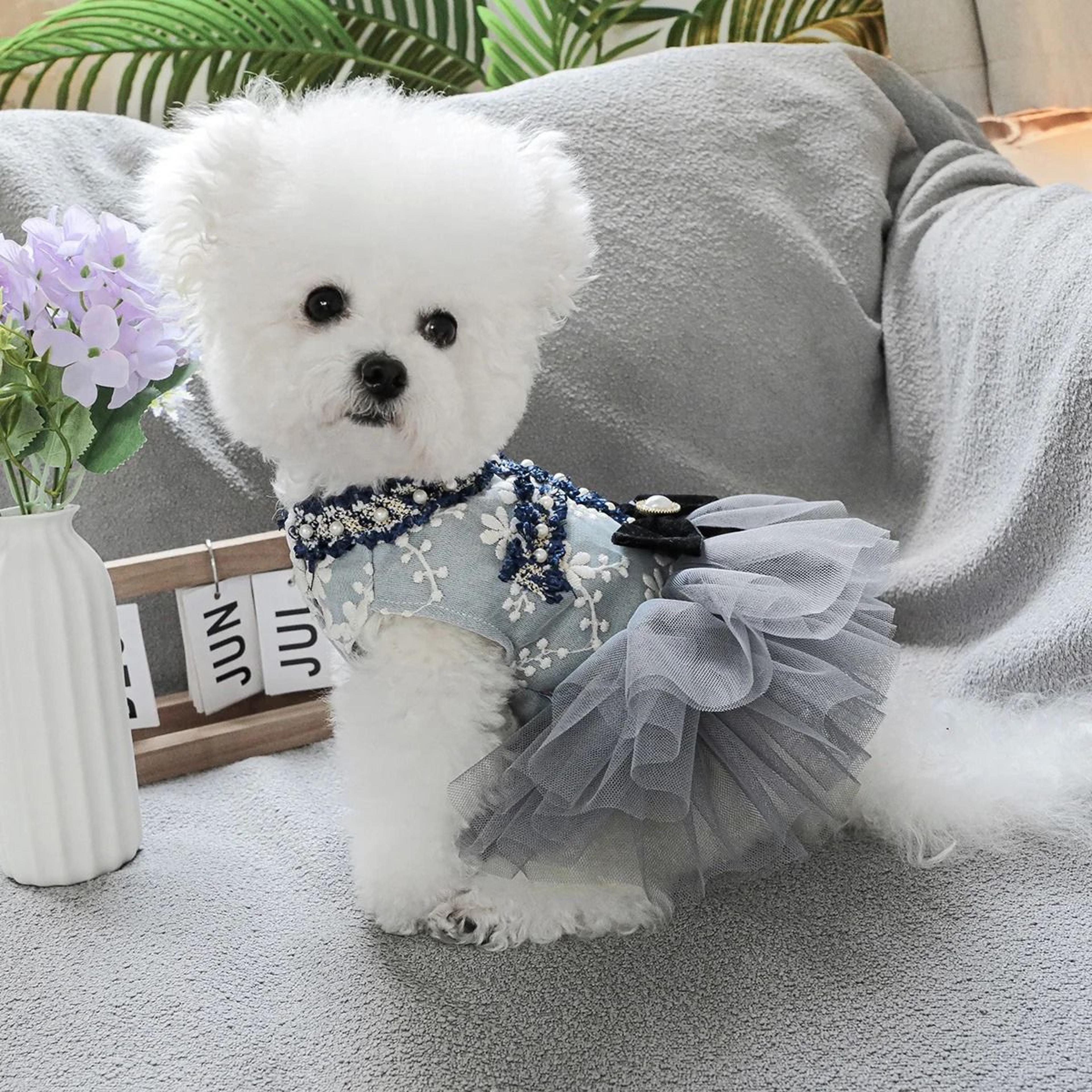 Cozy Grey Blue Princess Pet Dress For Autumn And Winter 0