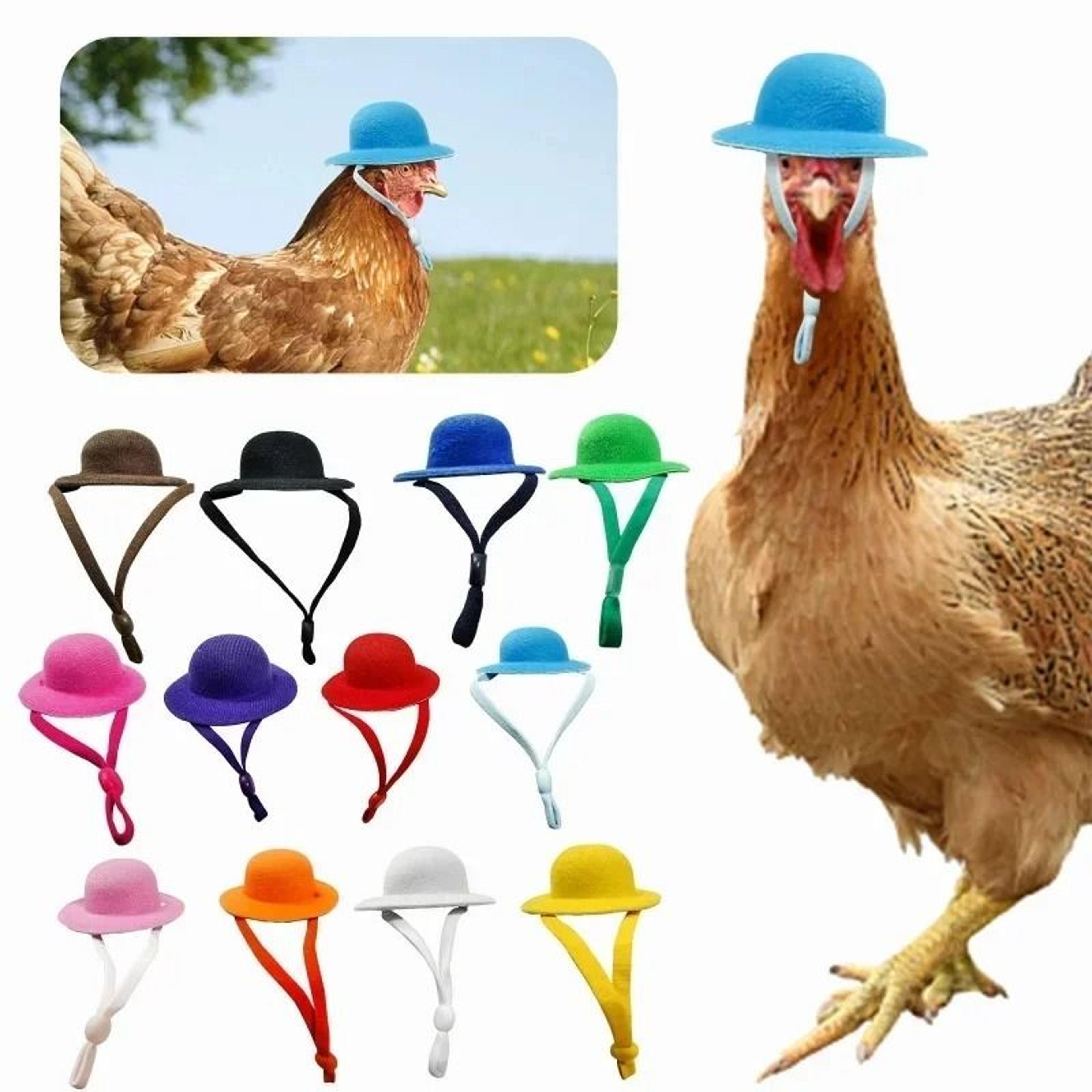 Chicken Hat For Hens Tiny Pets Pet Costume Accessory 0