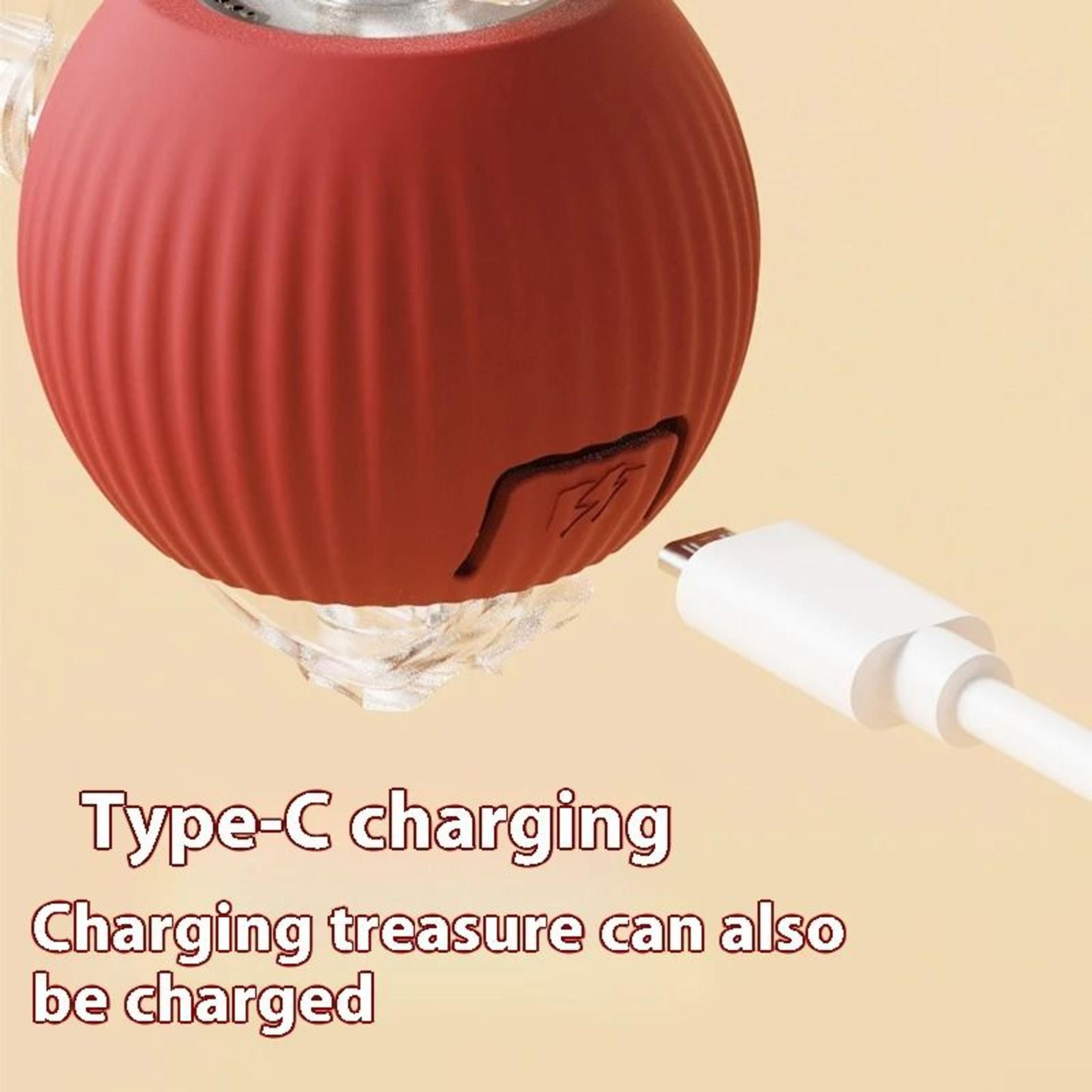 Electric Rolling Cat Toy Ball With Teaser Bird 5