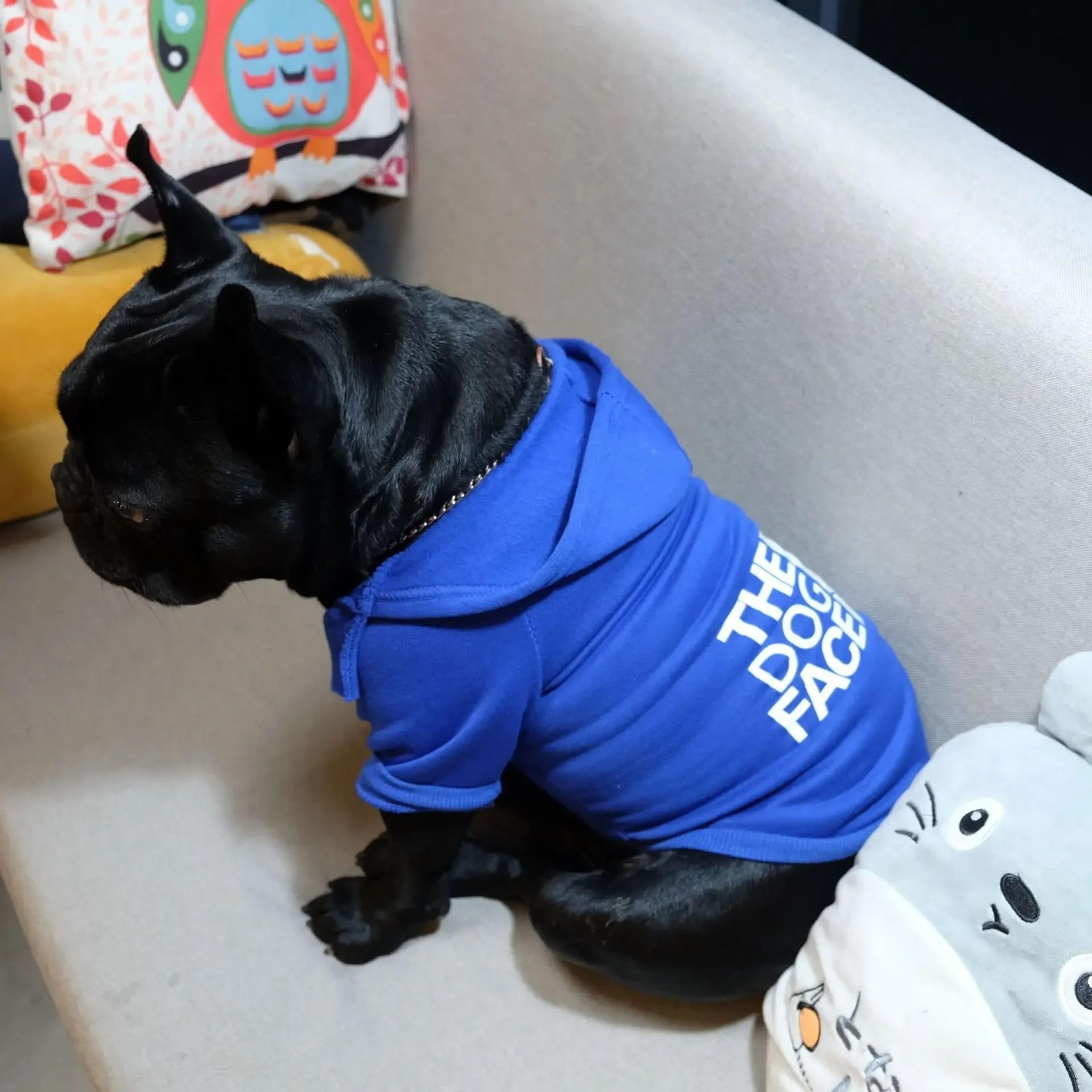 Pet Dog Autumn Winter Hoodie 3