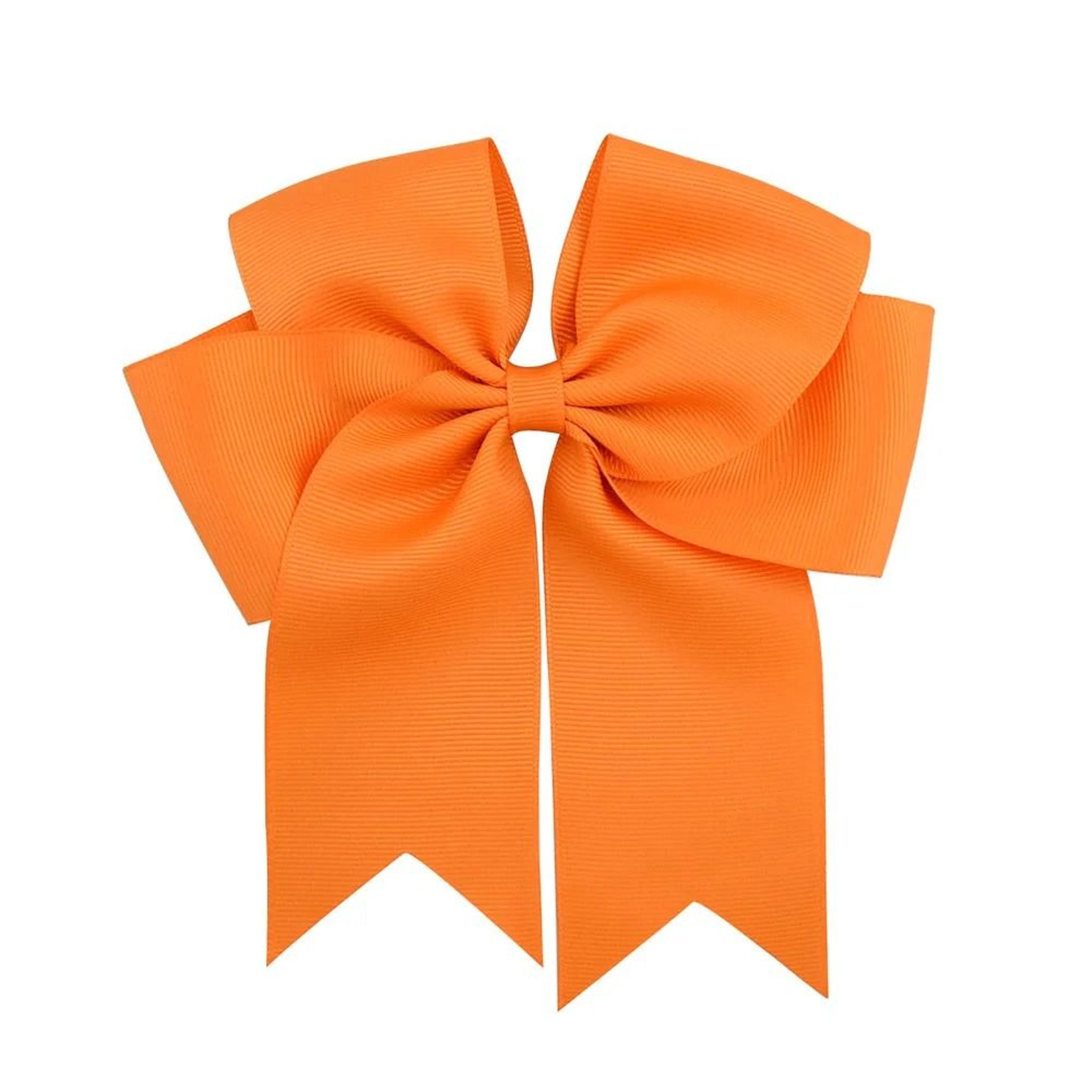 Colorful Grosgrain Ribbon Hair Bow Clip For Girls 11