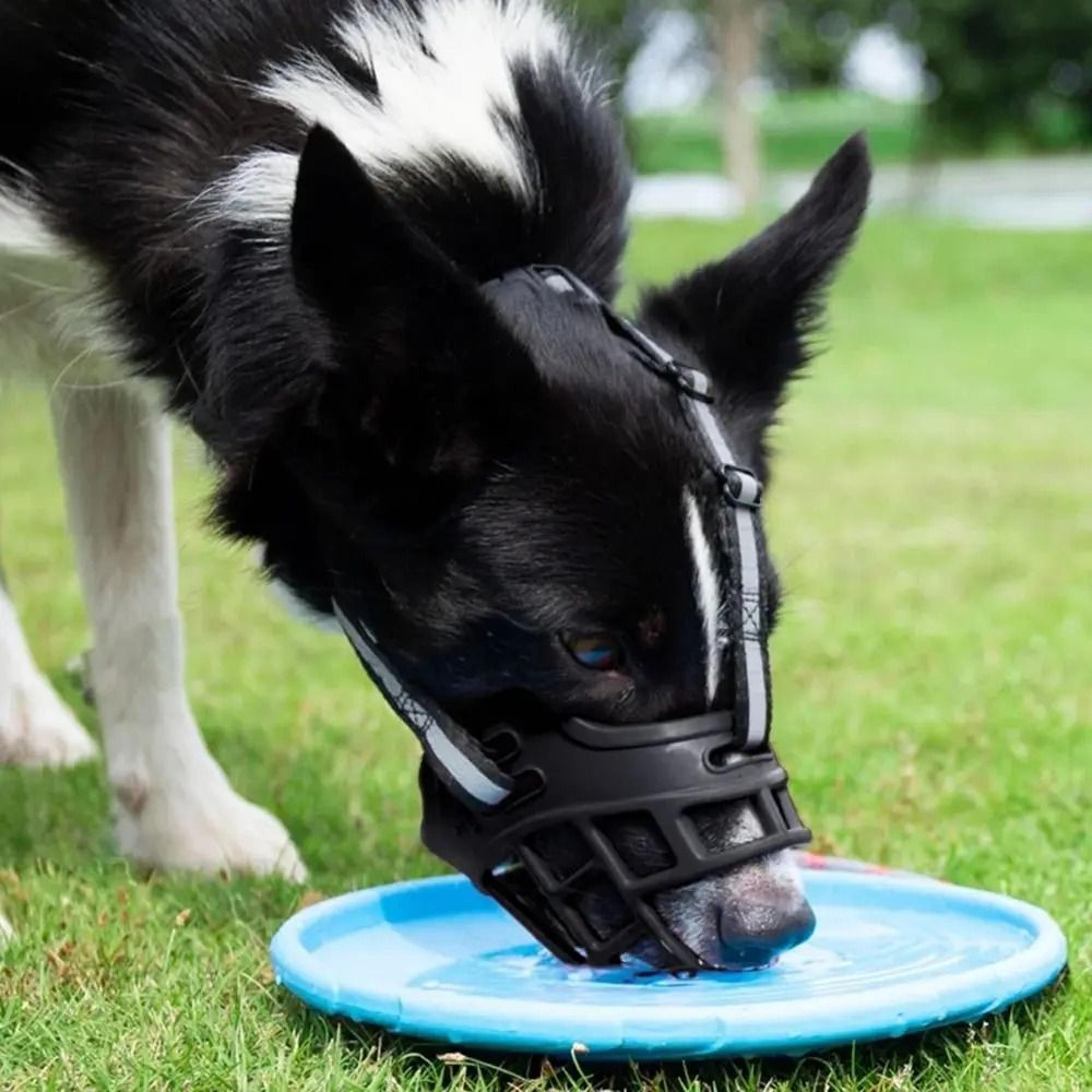 Adjustable Breathable Dog Muzzle For Barking Chewing And Safety 2