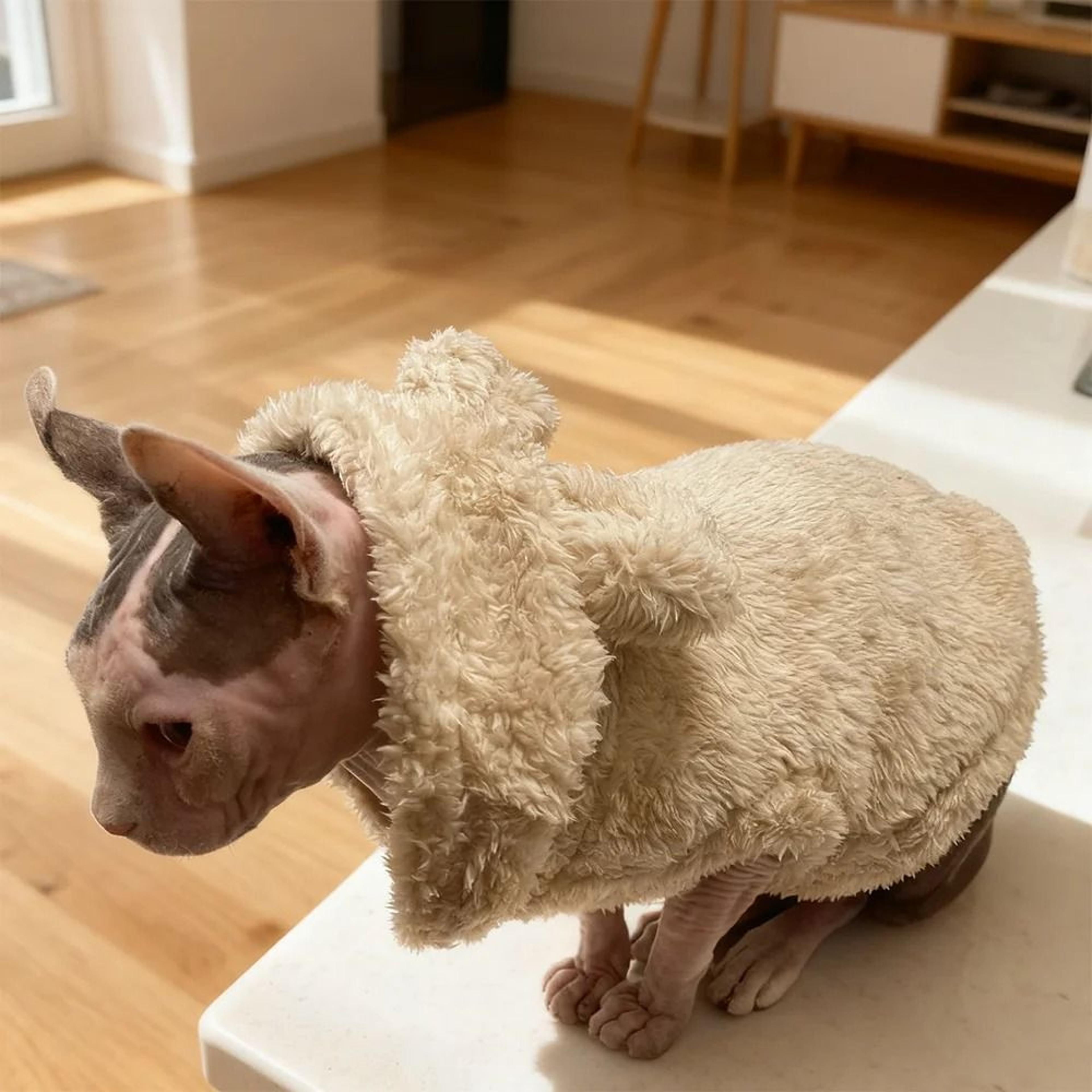 Cozy Rabbit Ear Pet Fleece Hoodie 1