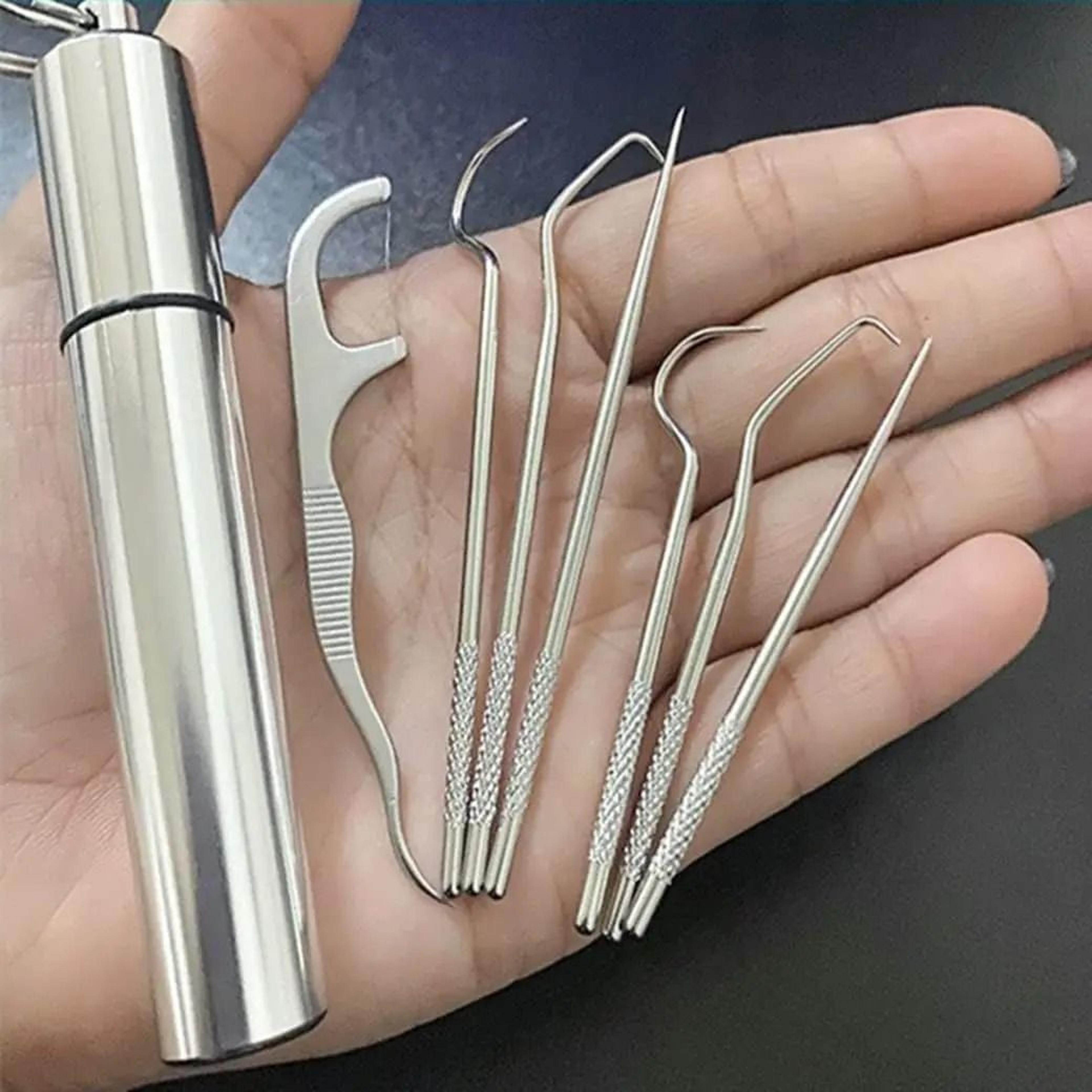 Stainless Steel Reusable Toothpick Set For Daily Oral Cleaning 0