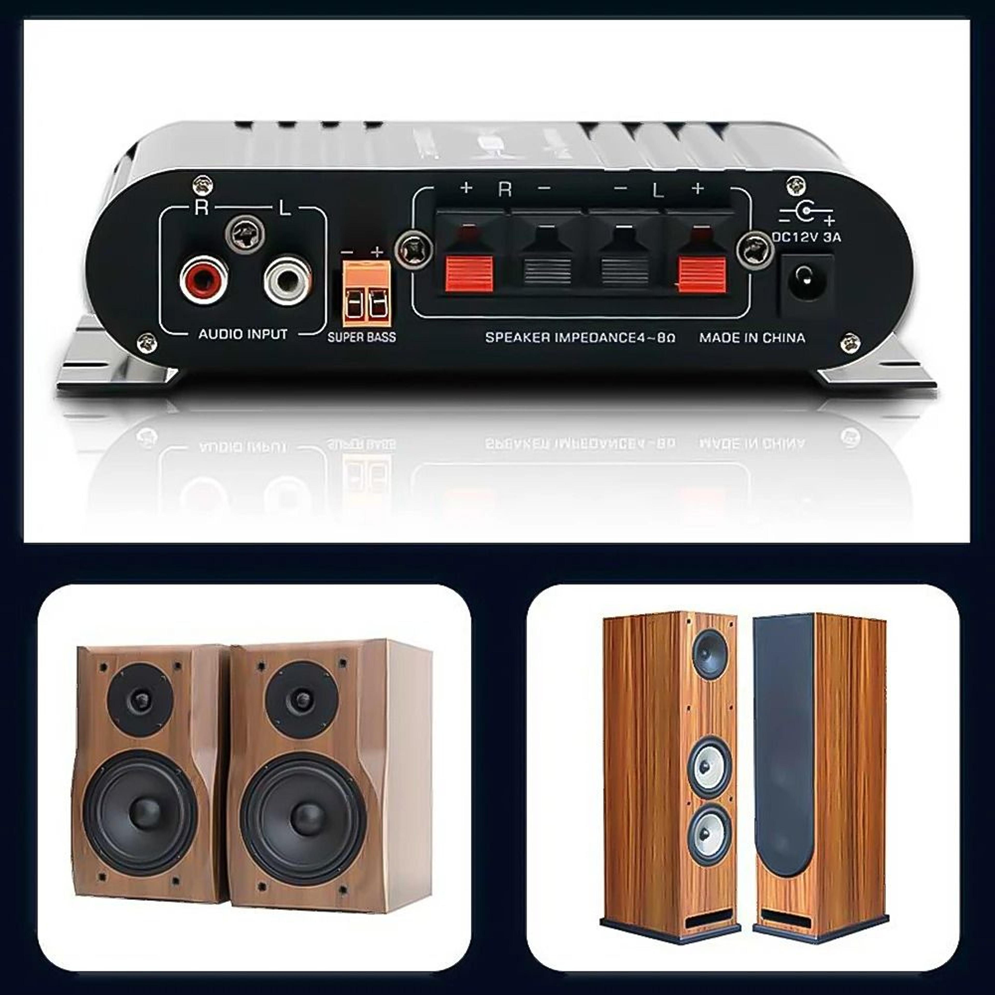 21 Channel HiFi Audio Amplifier With Adjustable Bass And Treble For Car And Home 4