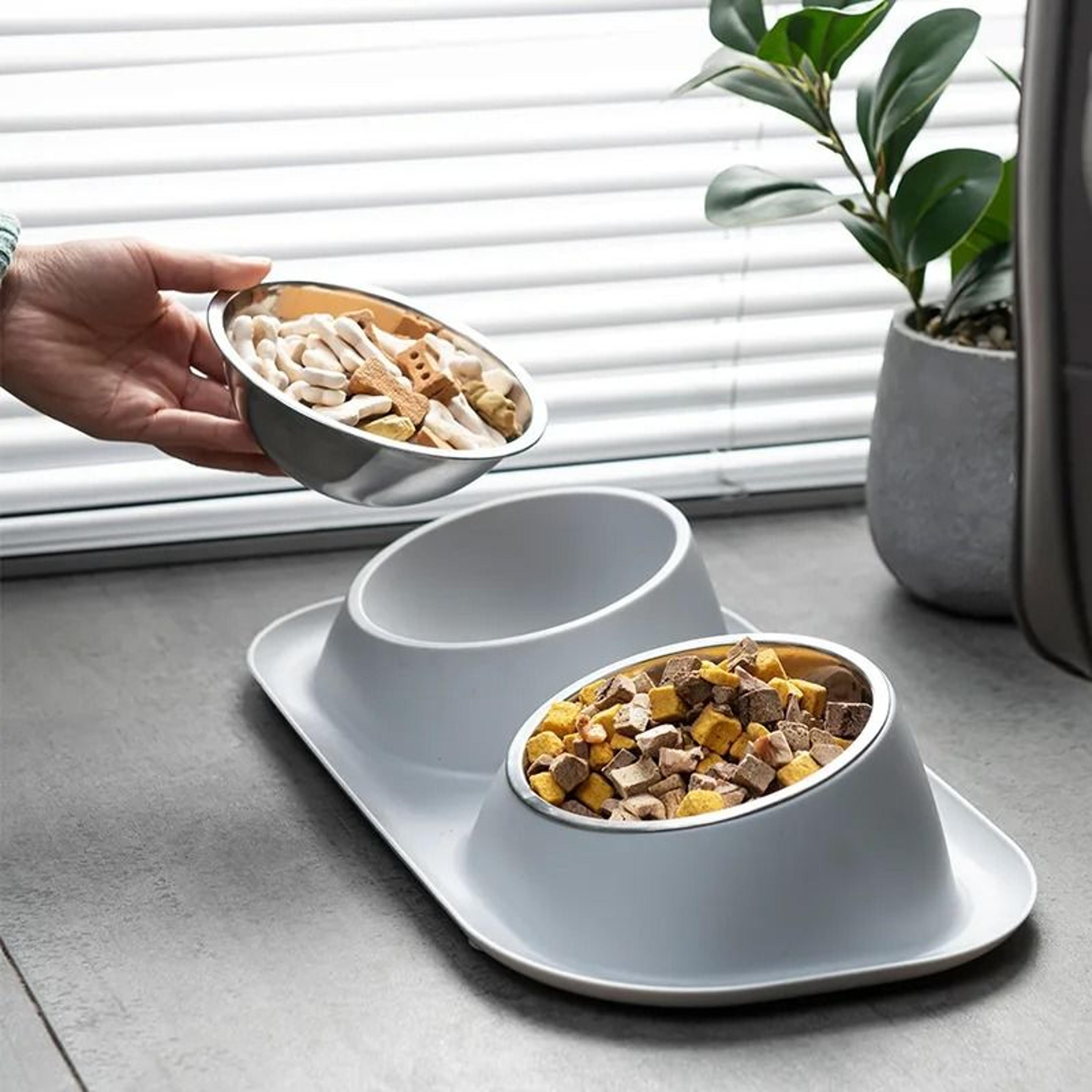 Stainless Steel Double Pet Bowl Set With Non Slip Base For Dogs And Cats 0