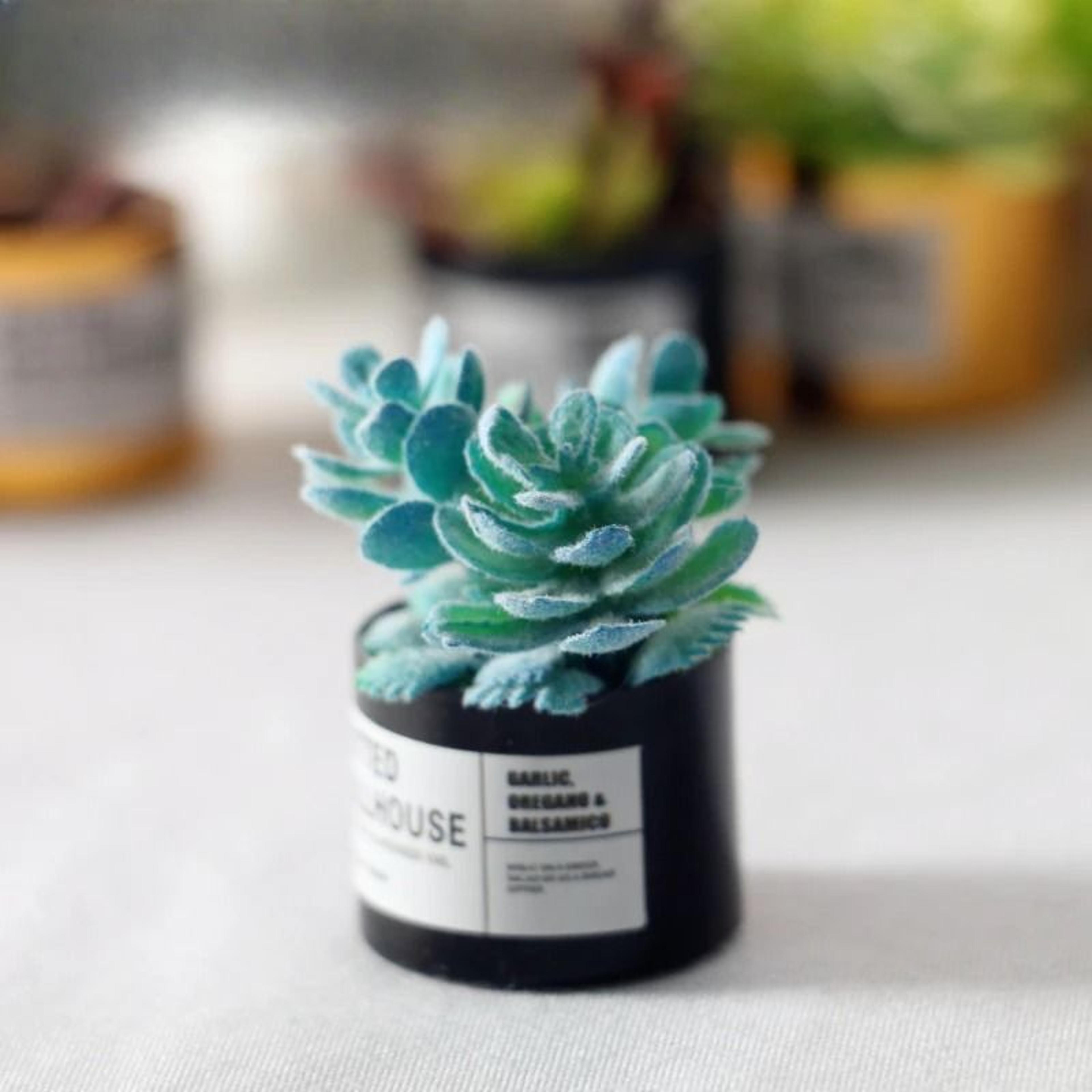 Miniature Metal Potted Plants For Dollhouse Decor 6