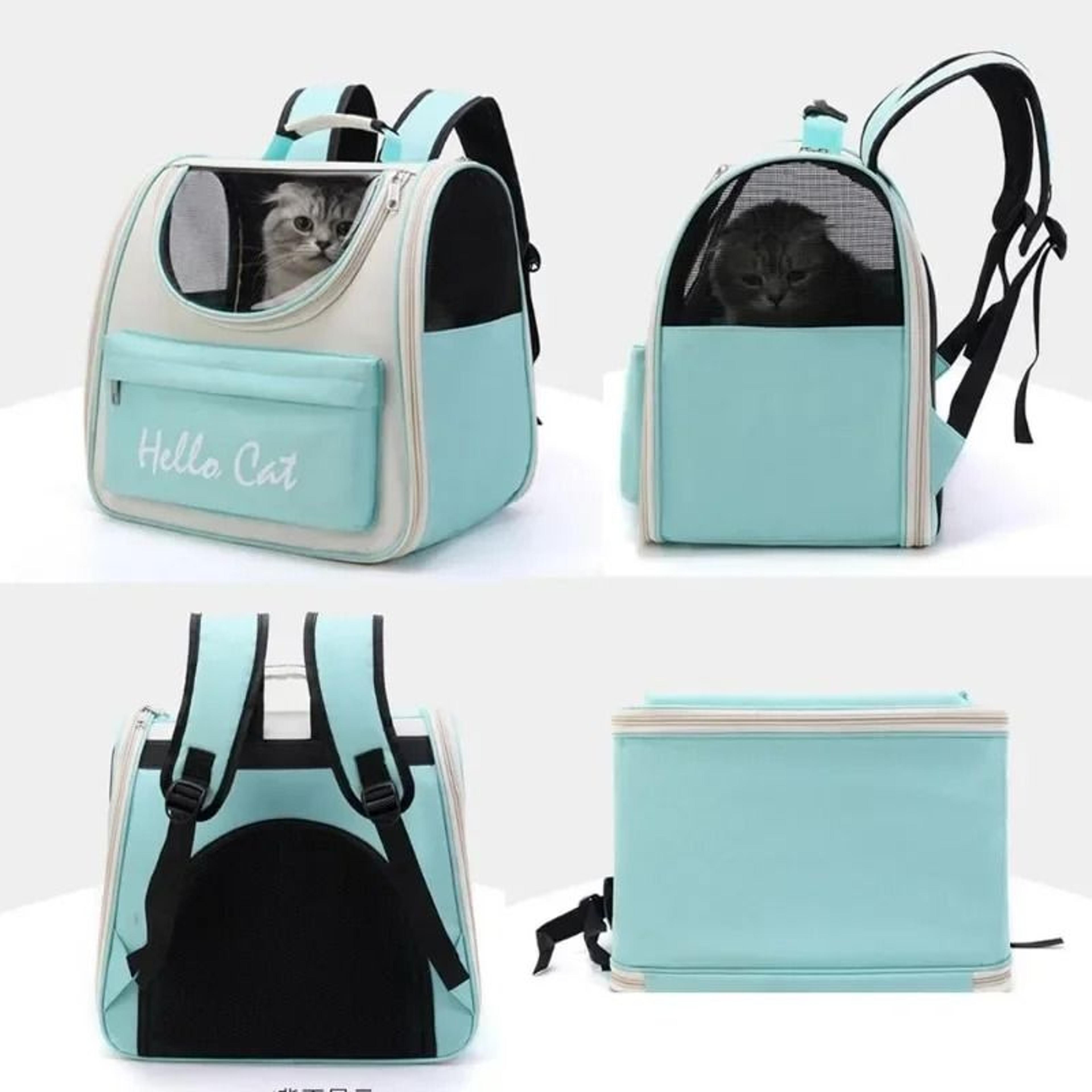 Panoramic Vista Pet Adventure Backpack 2