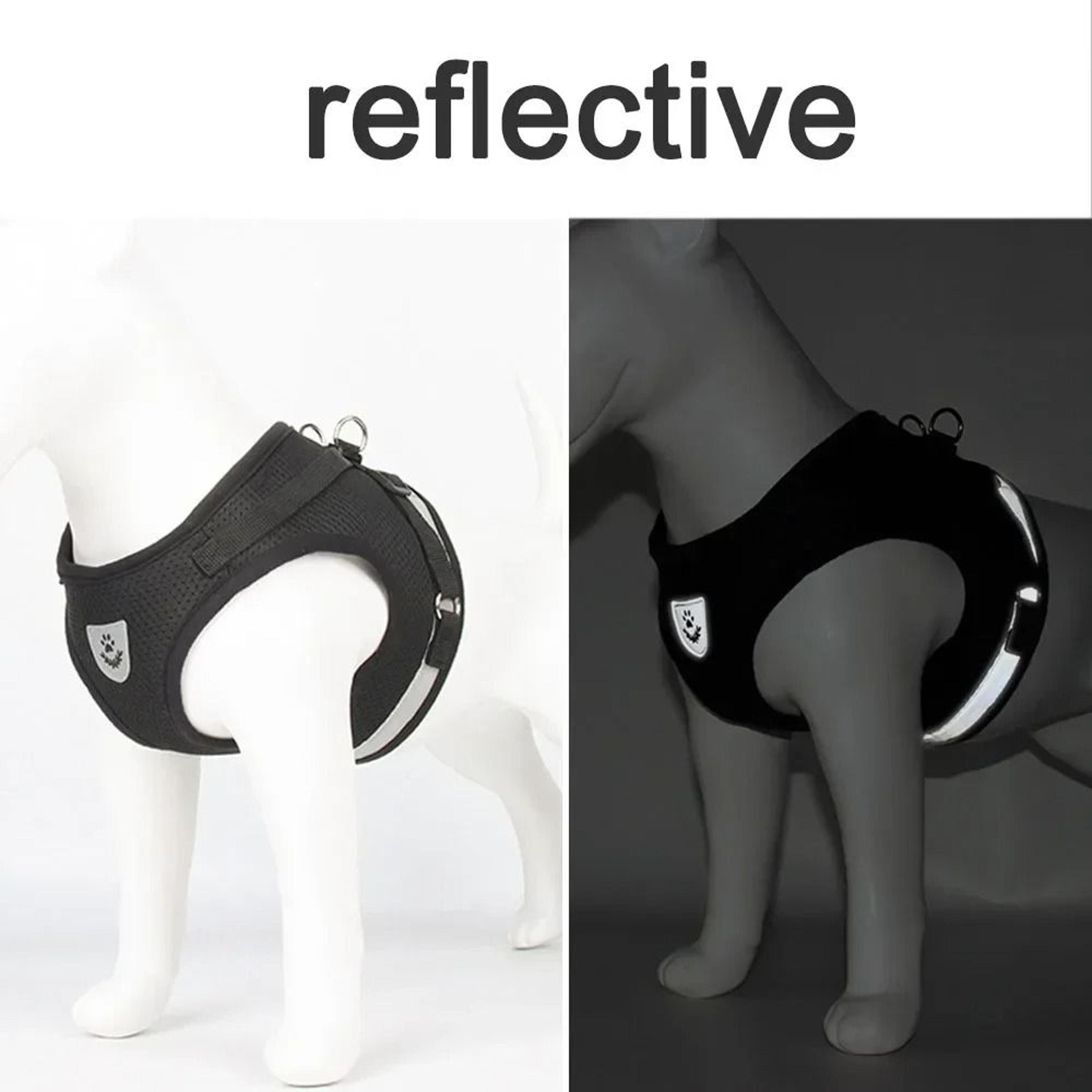 Mesh Comfort Reflective Cat And Small Dog Harness Set 4