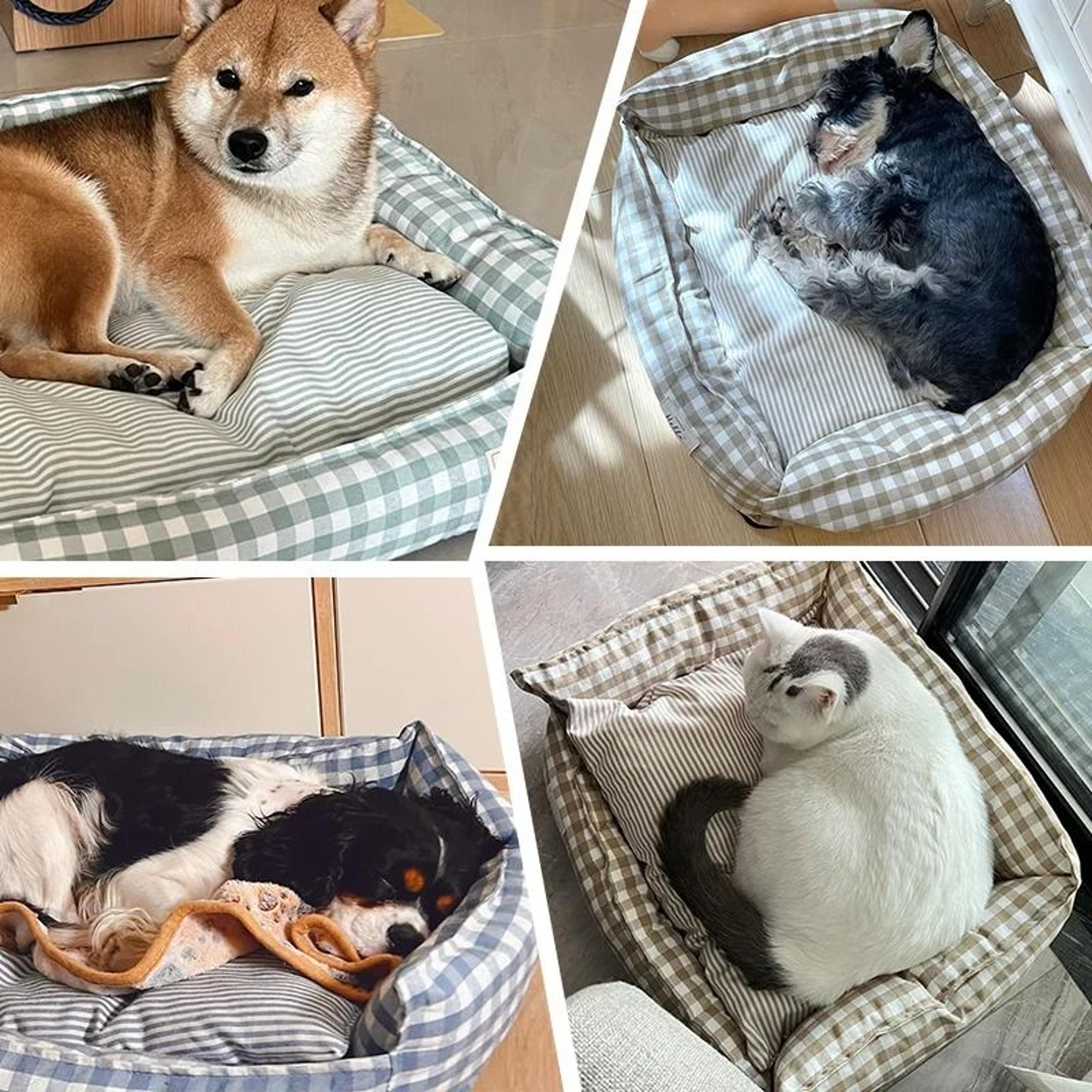 Premium Orthopedic Pet Sofa And Indoor Kennel 4