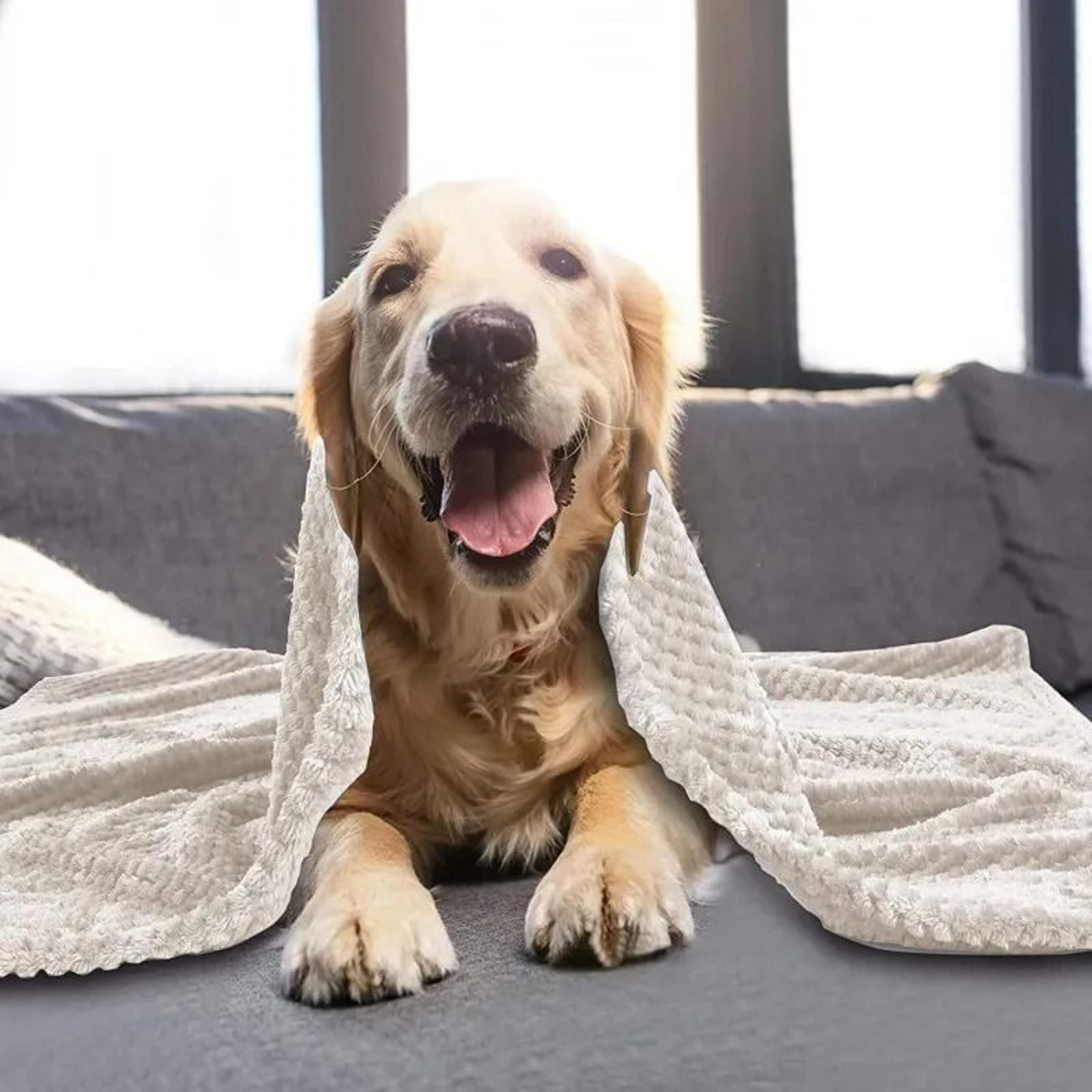 Ultra Soft Fuzzy Fleece Pet Comfort Blanket 2