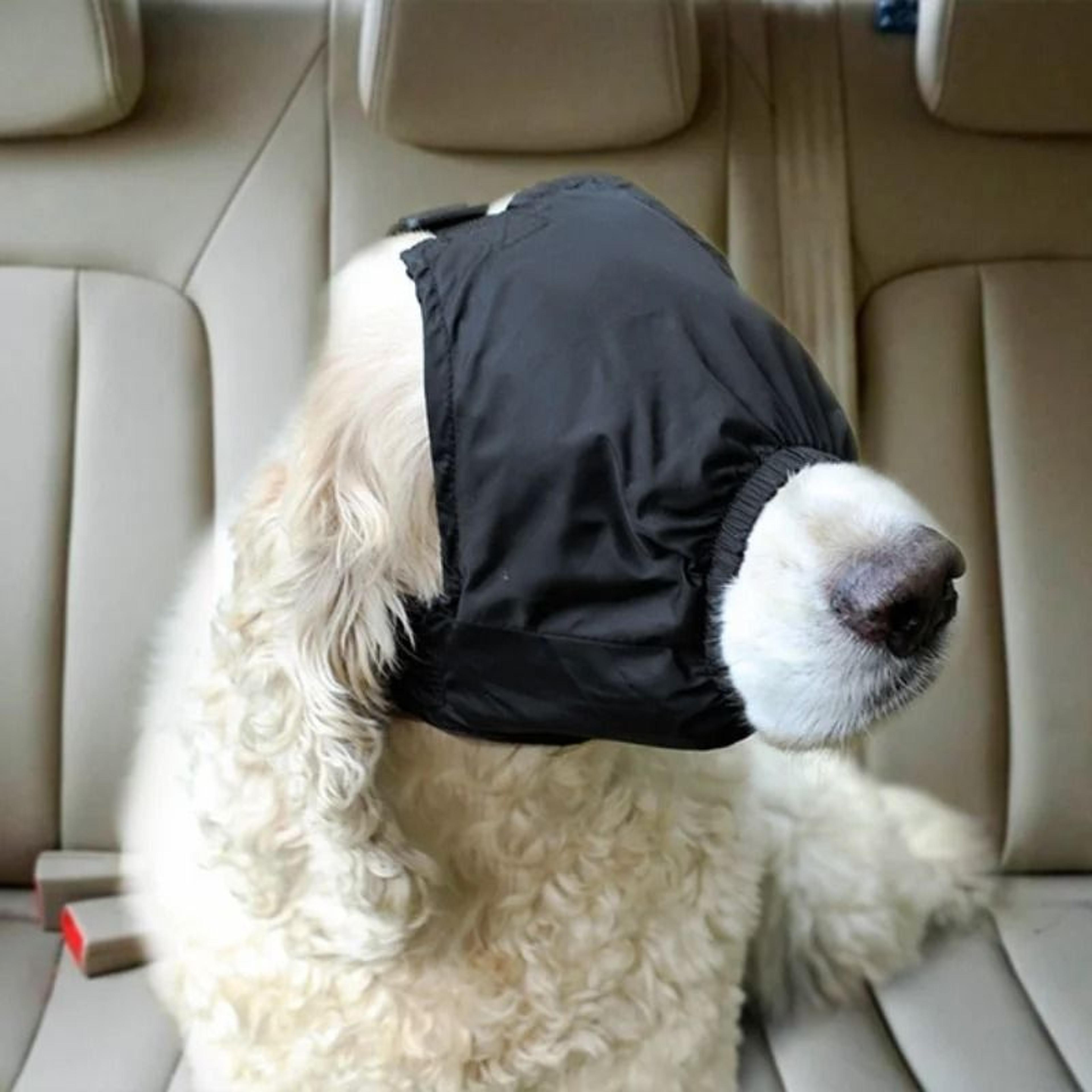 Dog Calming Shading Cap 0