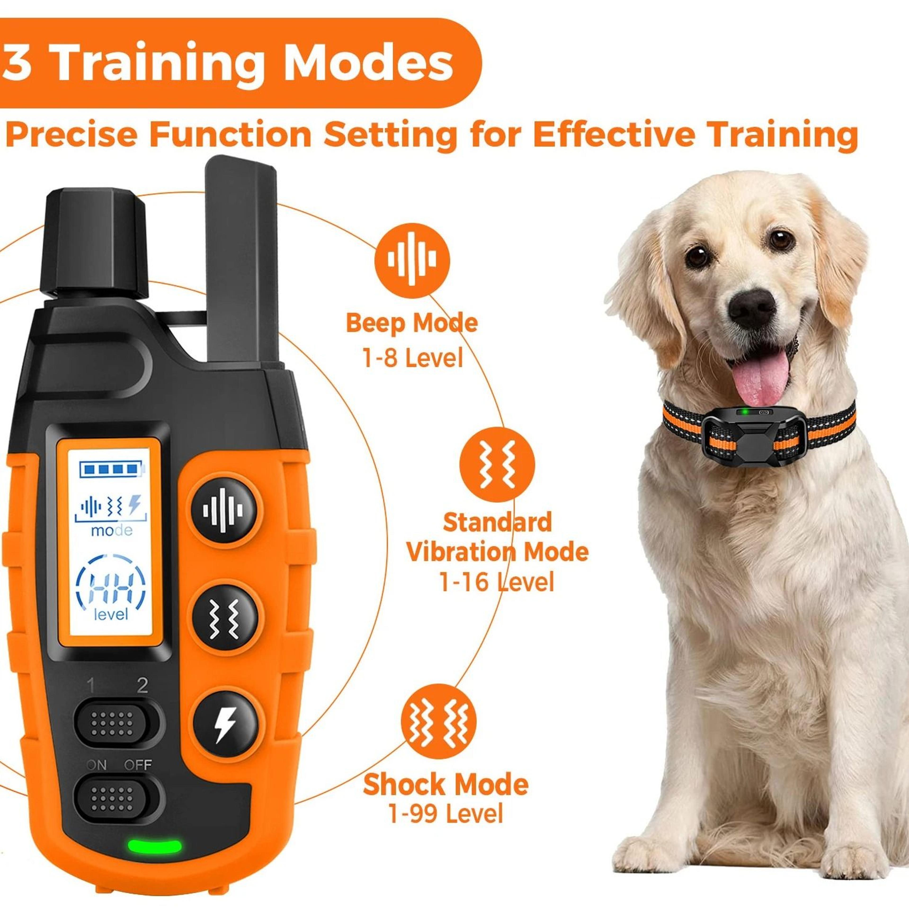 Electric Dog Training Collar 1