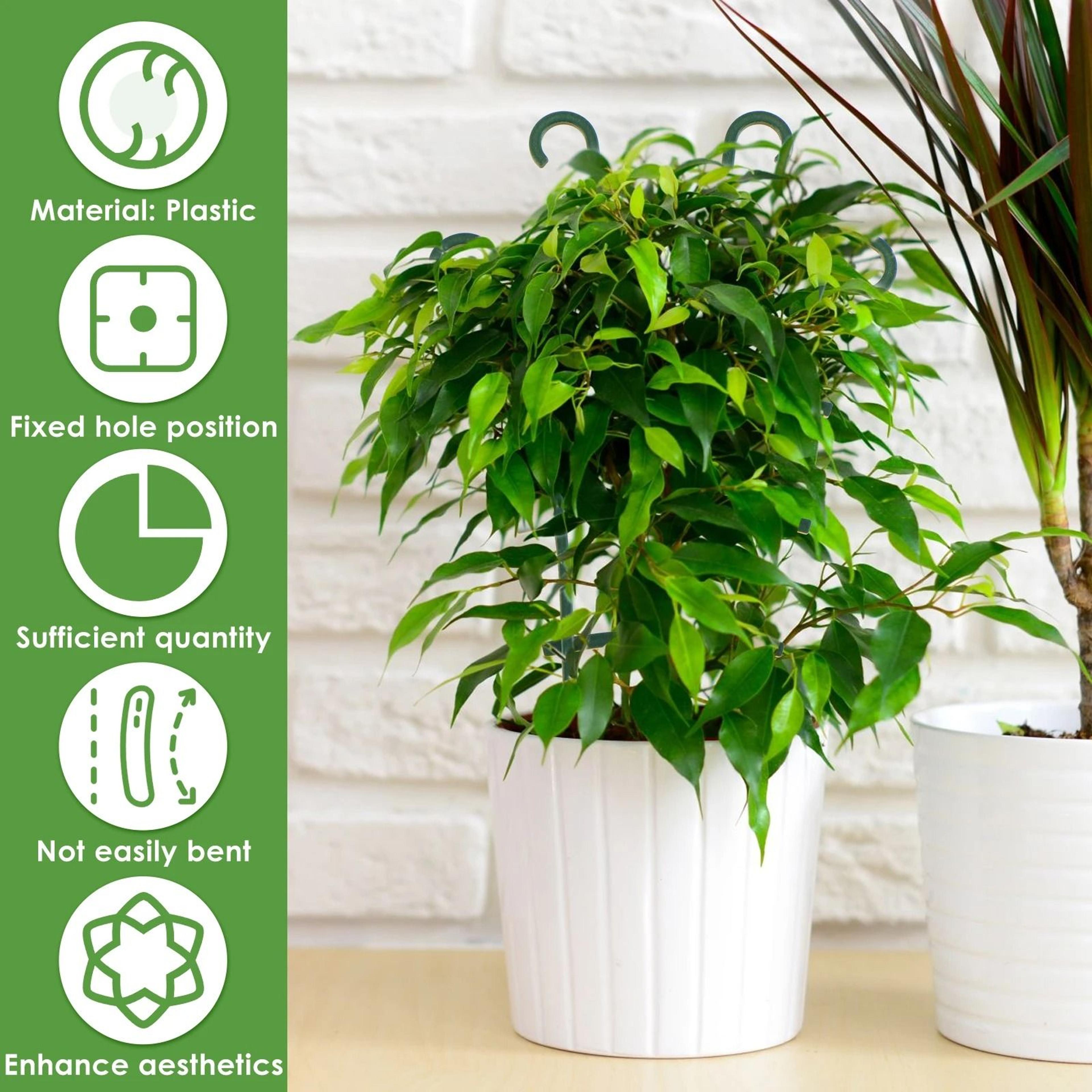 Potted Plant Climbing Trellis 1