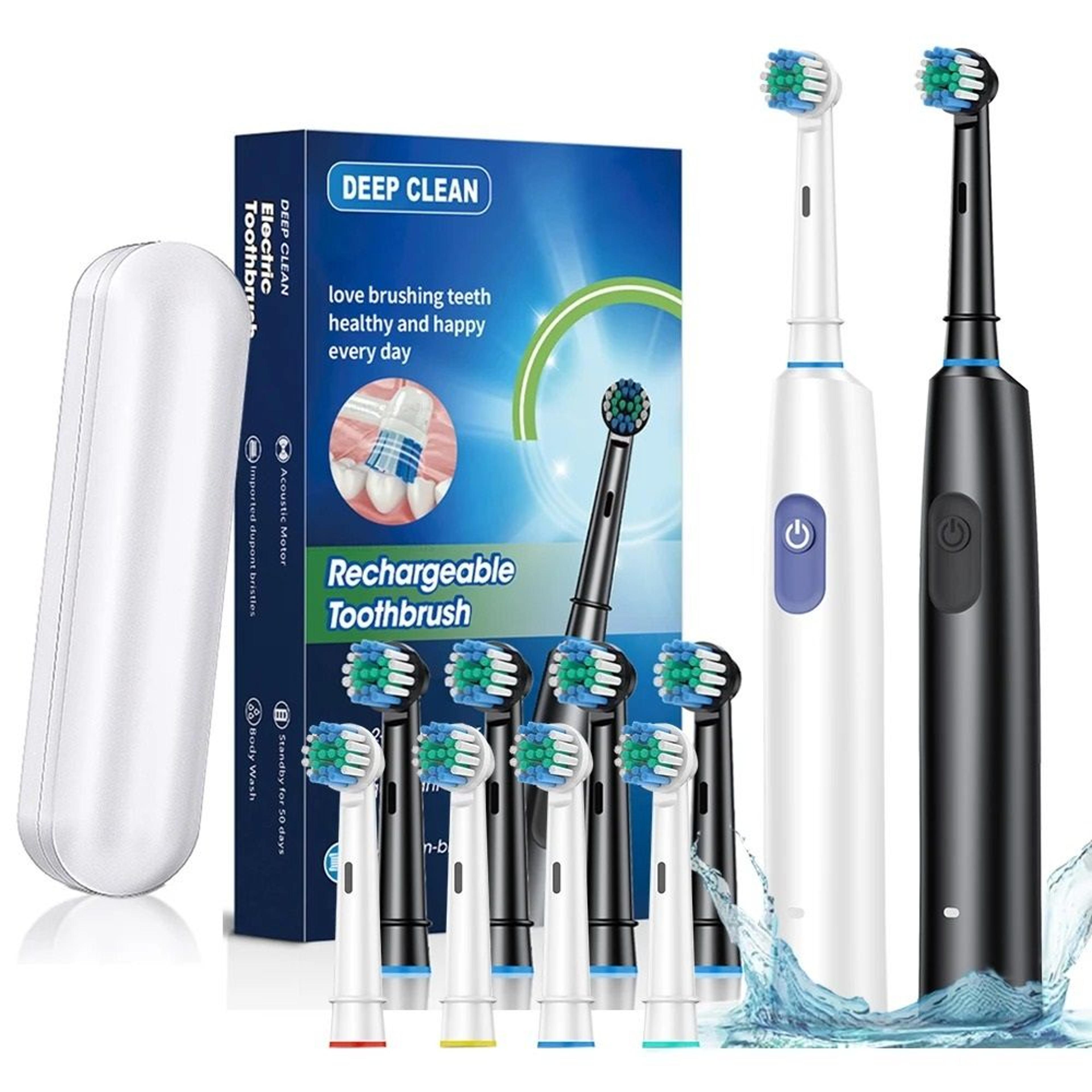 Rotary Kinetic Dental Hygiene 0