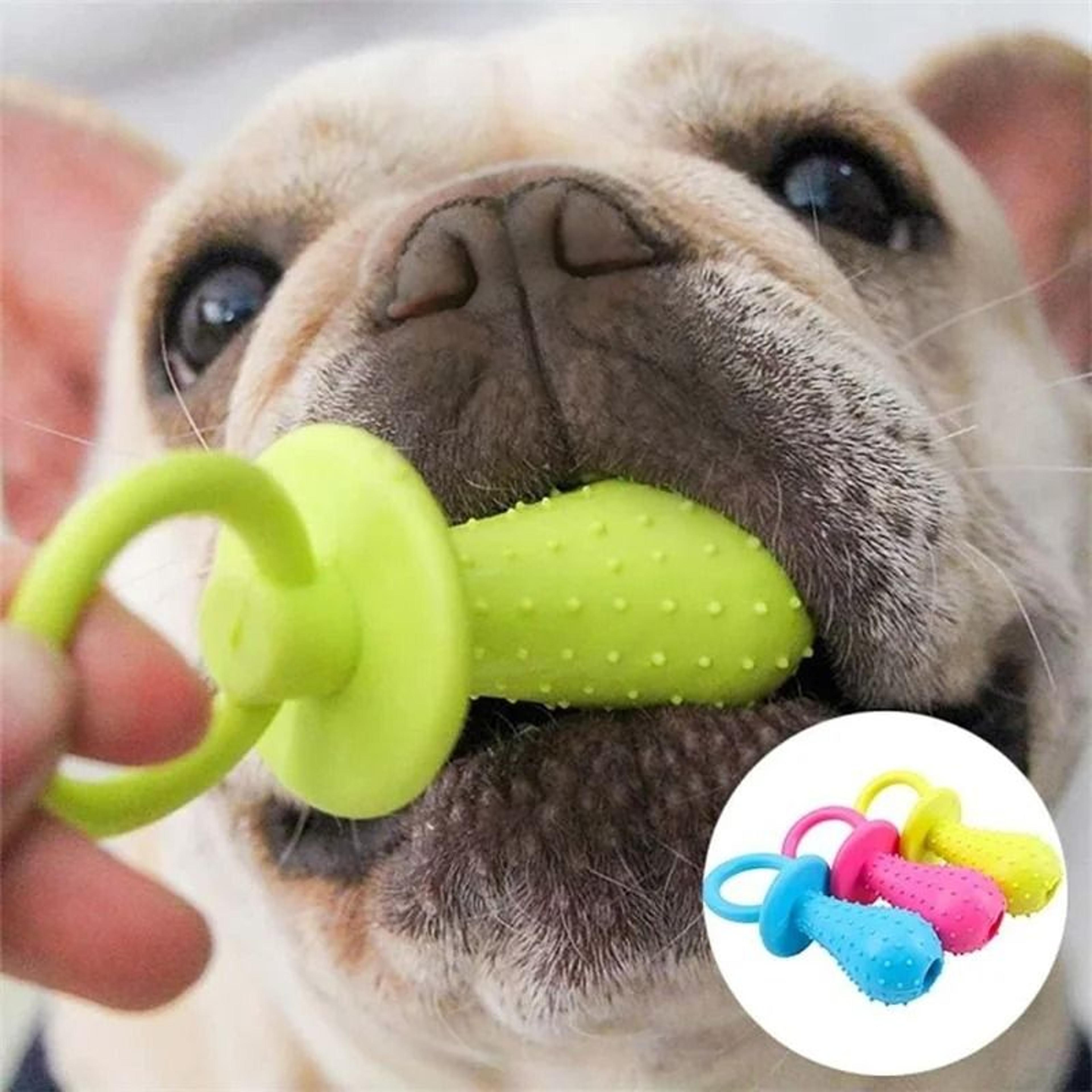 Interactive Rubber Pacifier Pet Toy 1