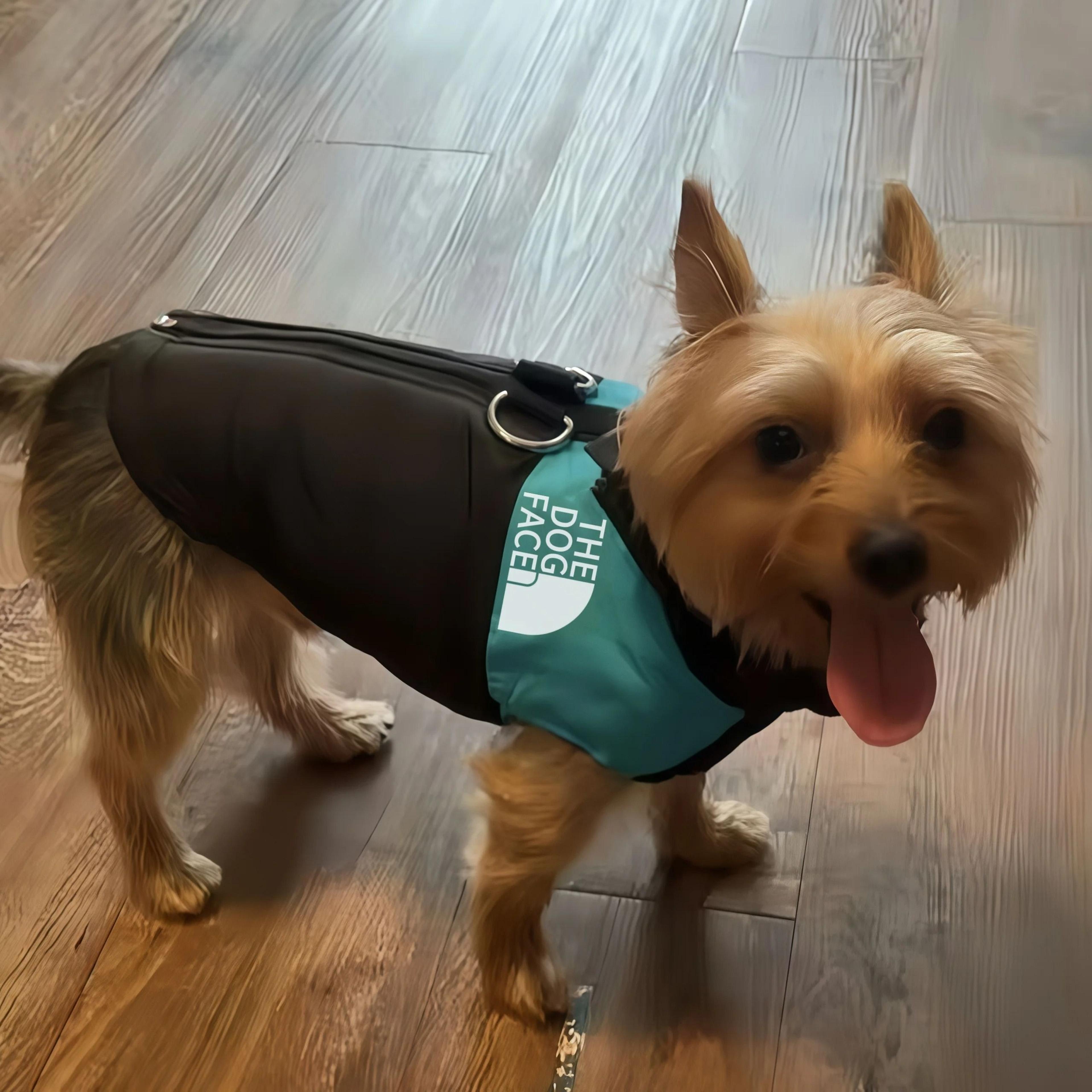 Reflective Winter Pet Sports Hoodie 1