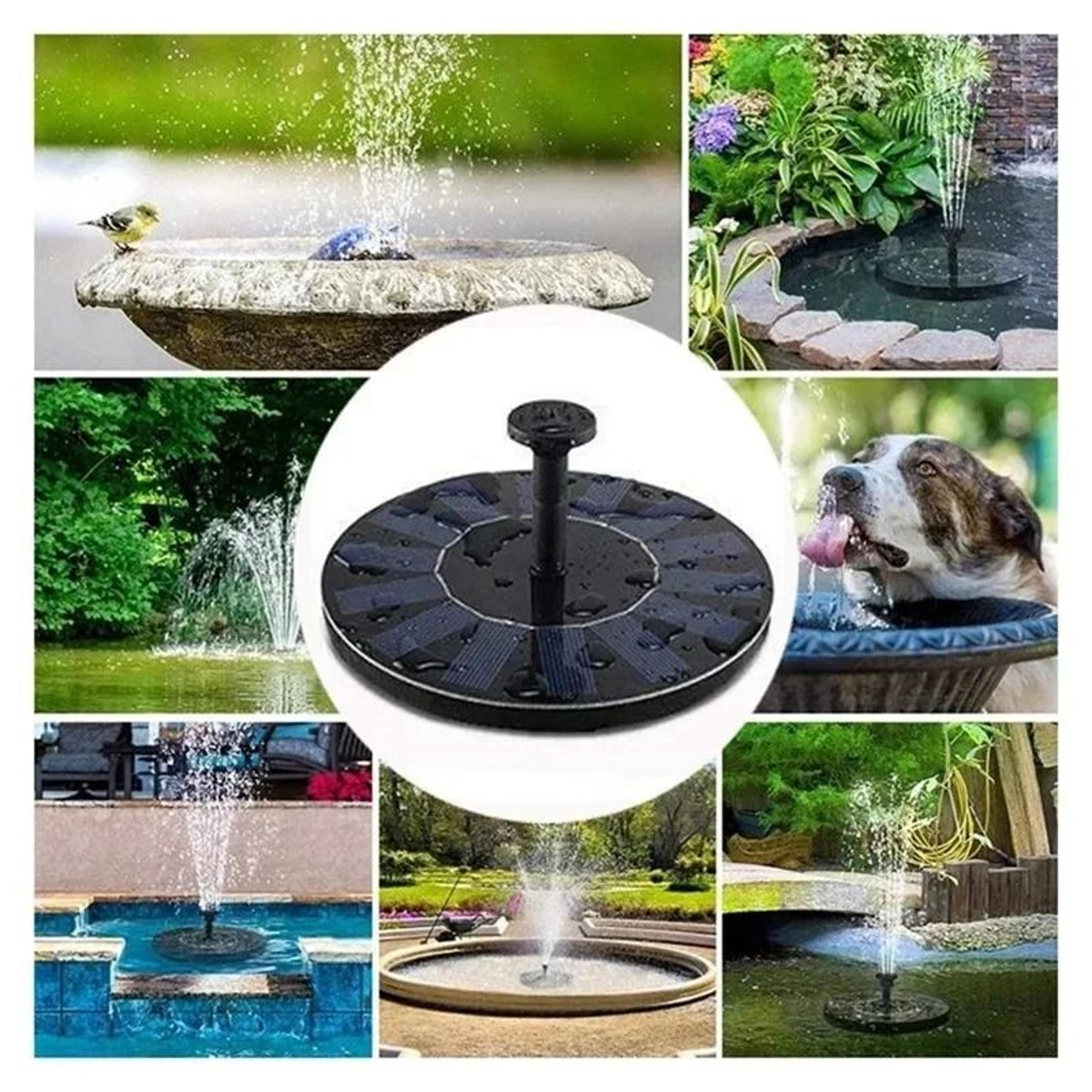 Solar Powered Floating Ecosystem Fountain 5