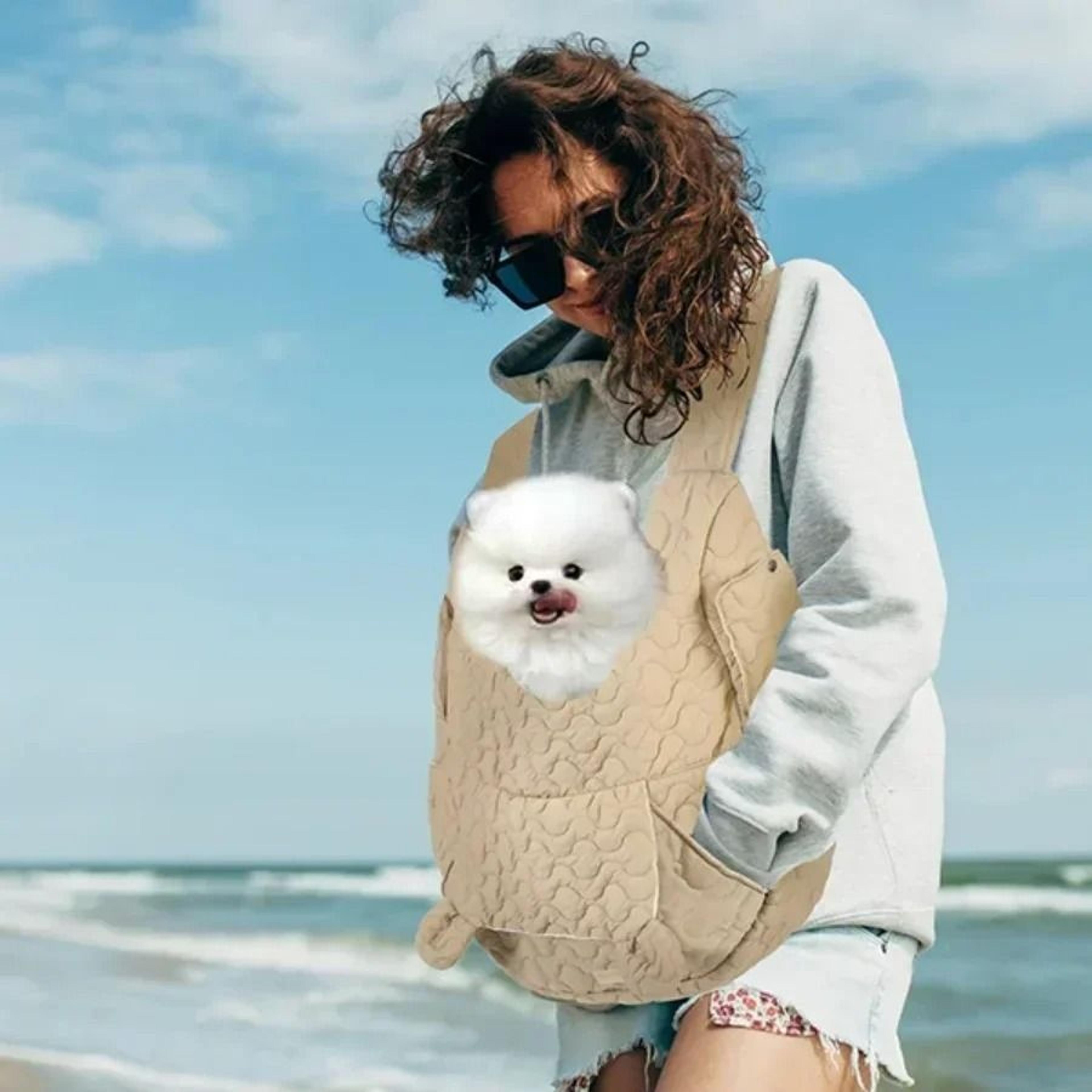 Heavy Duty Extra Large Capacity Pet Carrier Backpack 2