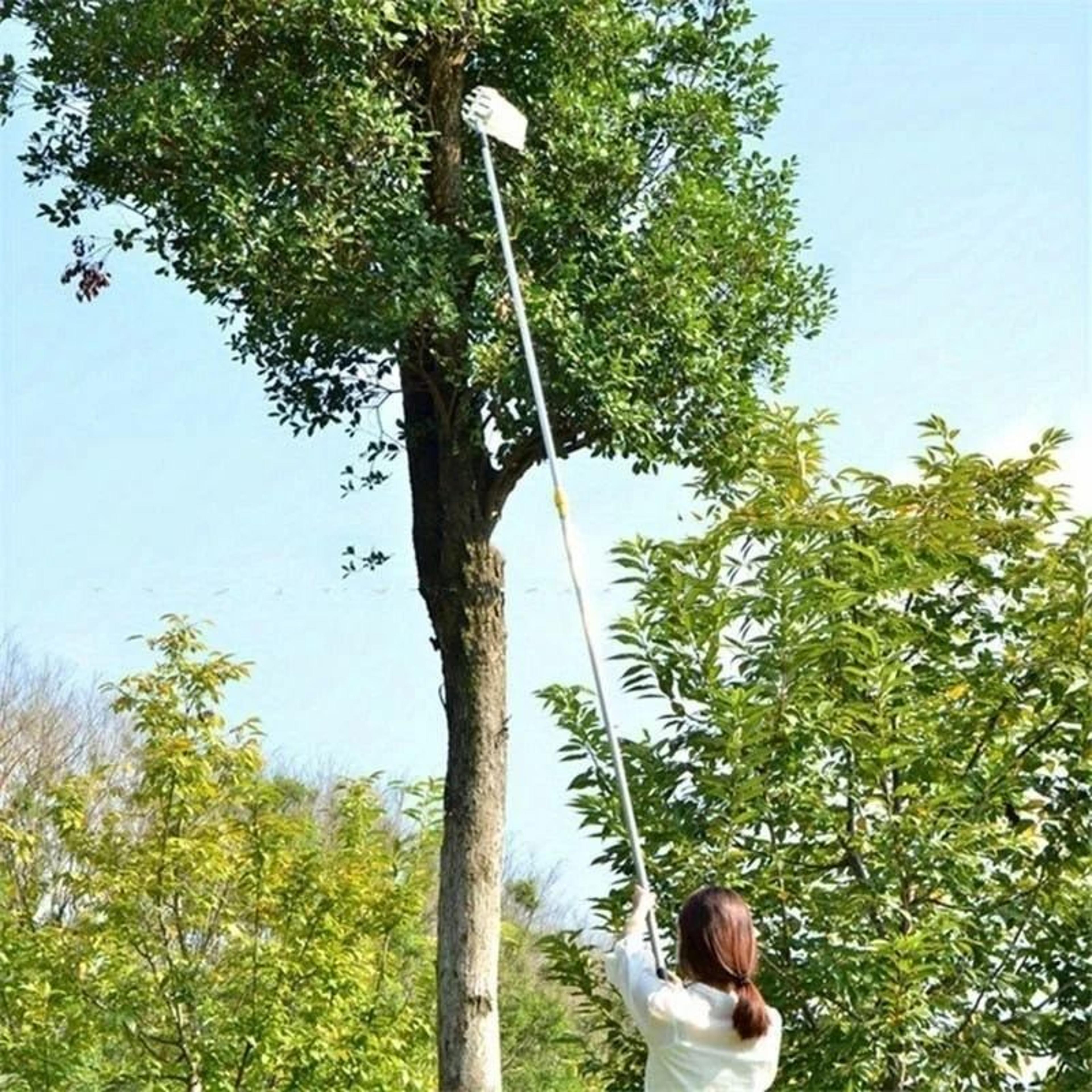 Convenient High Altitude Fruit Picker Device 5