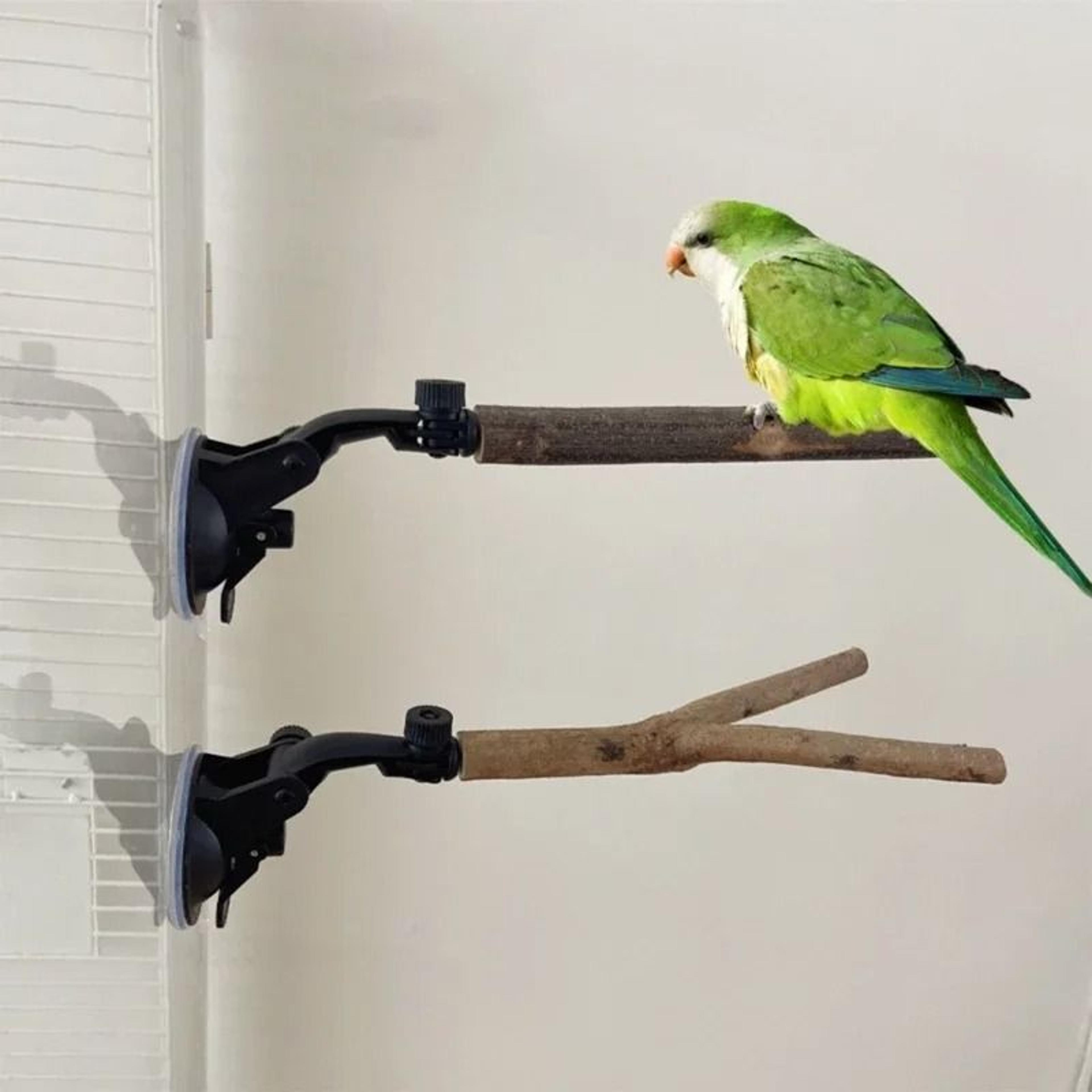 avian suction cup perch and mobility stand