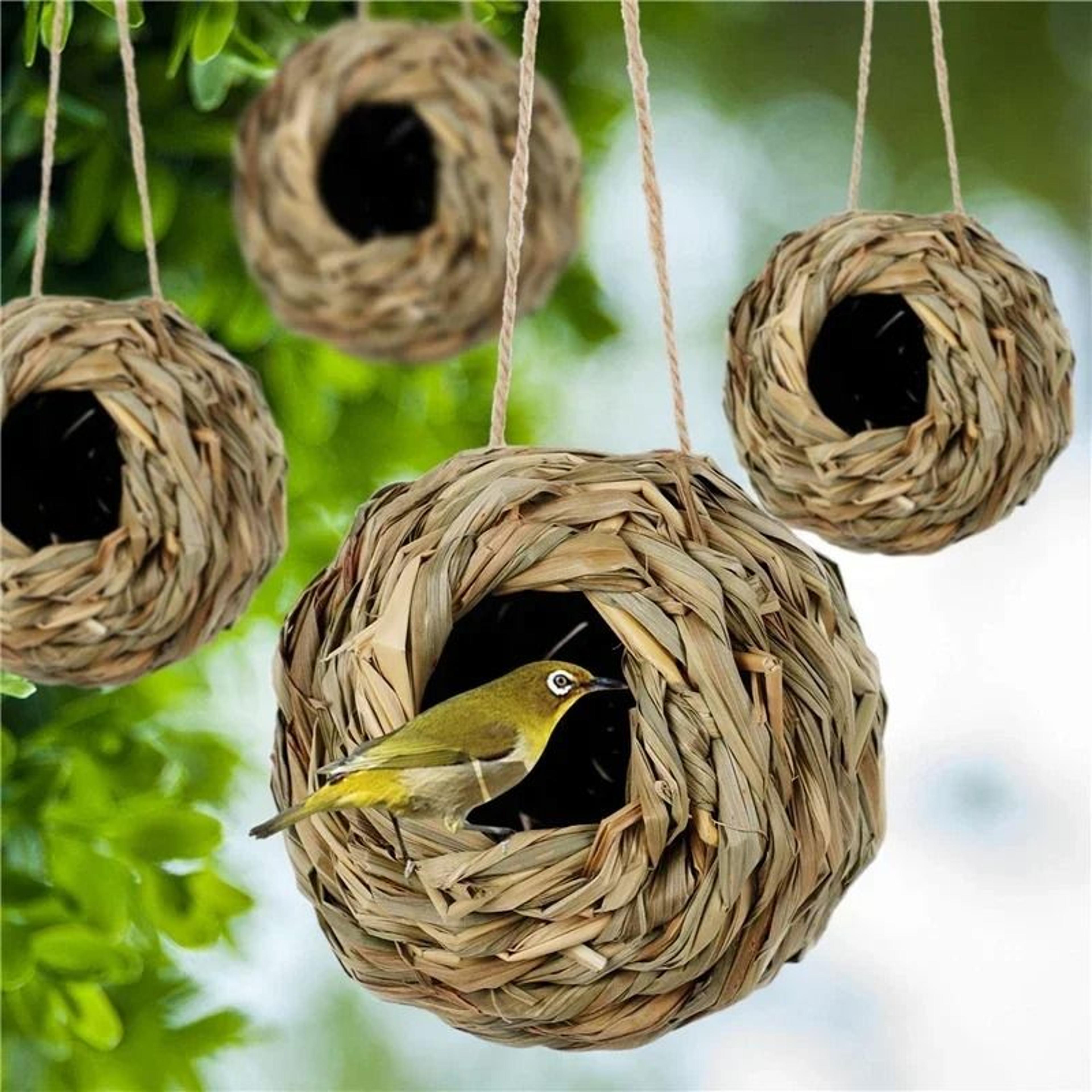 Natural Weaved Grass Avian Sanctuary Shield 1