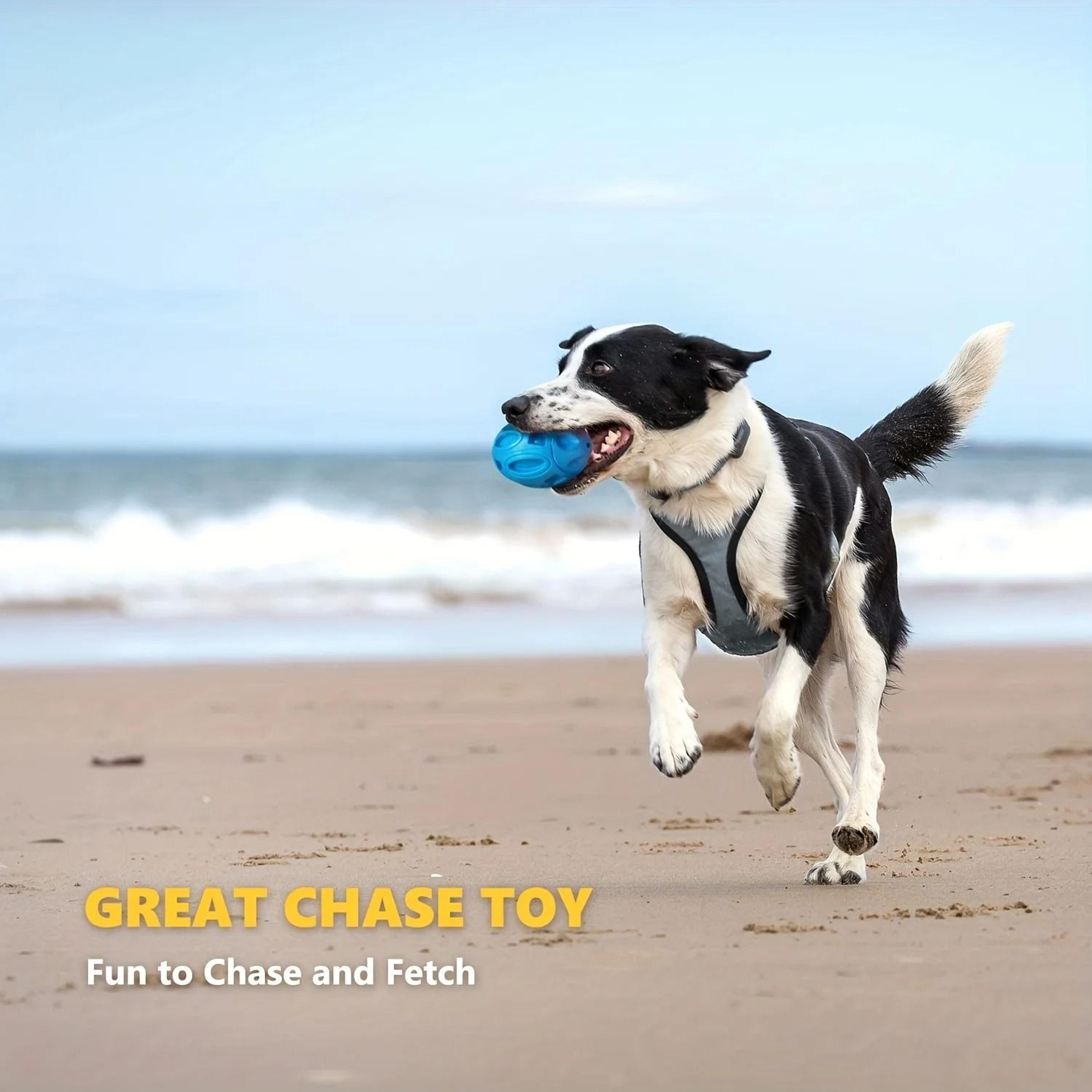 Ultra Durable Squeezing Rubber Dog Ball 2