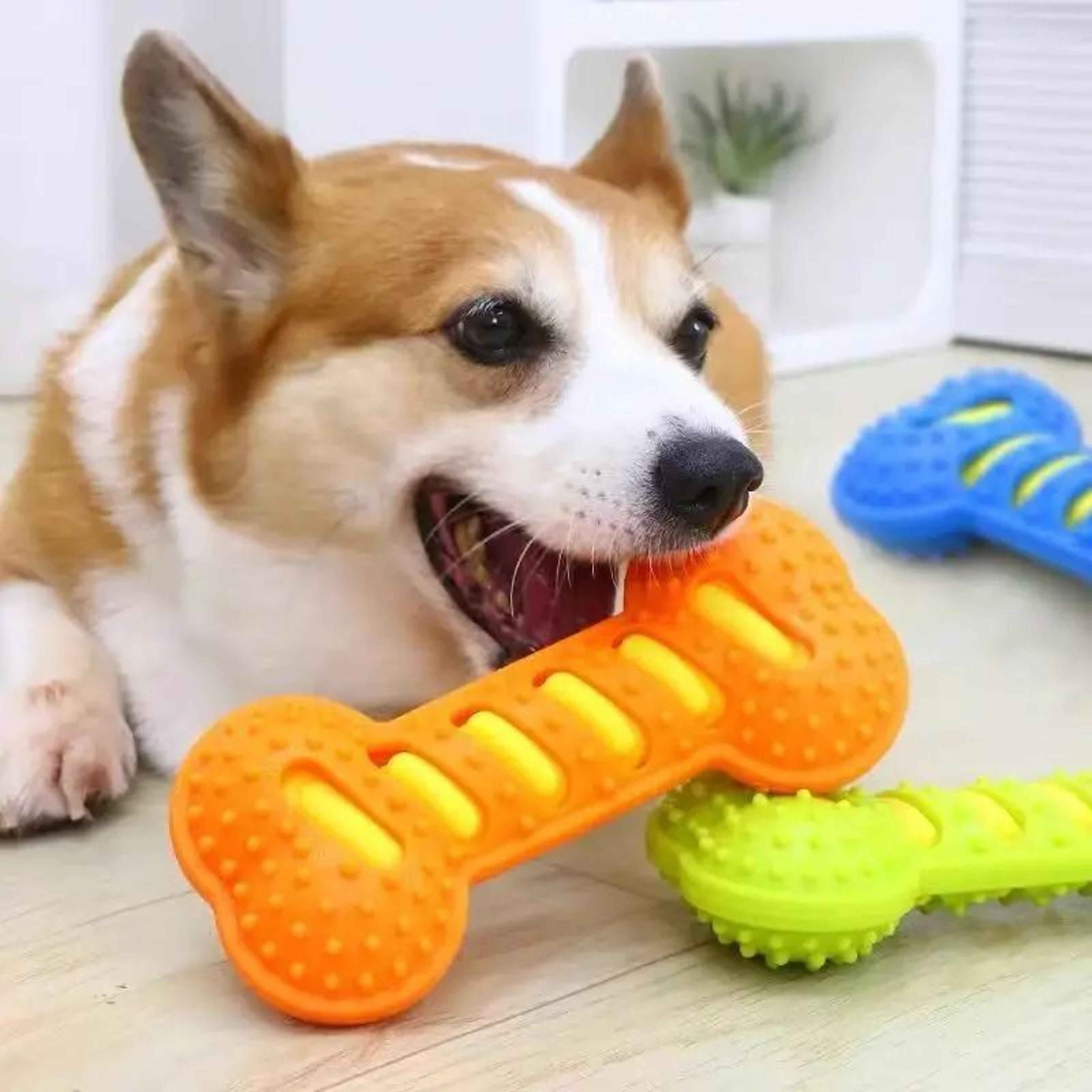 Heavy Duty Squeaky Rubber Bone Chew Toy 4