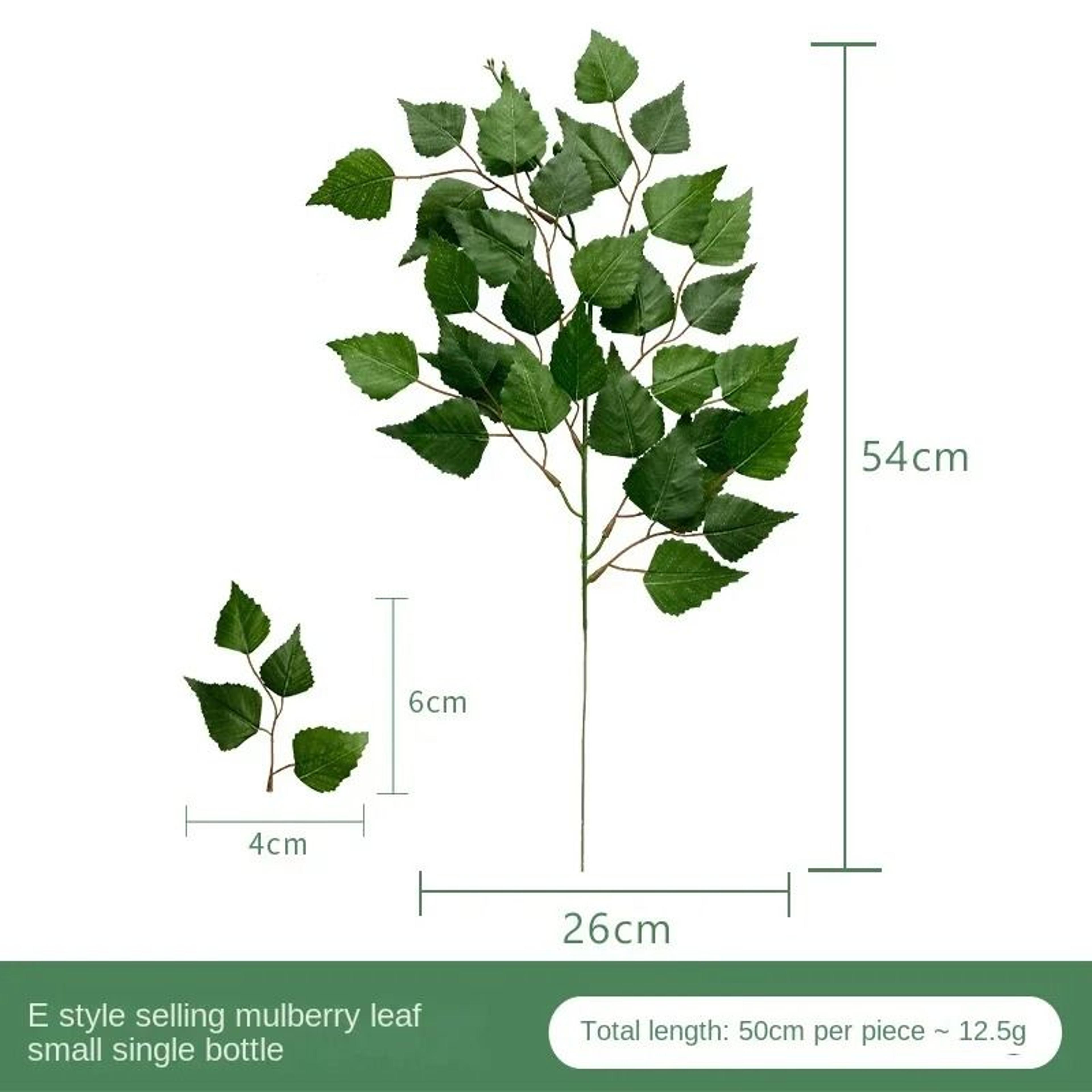Silver Dollar Artificial Eucalyptus Greenery Stem 11