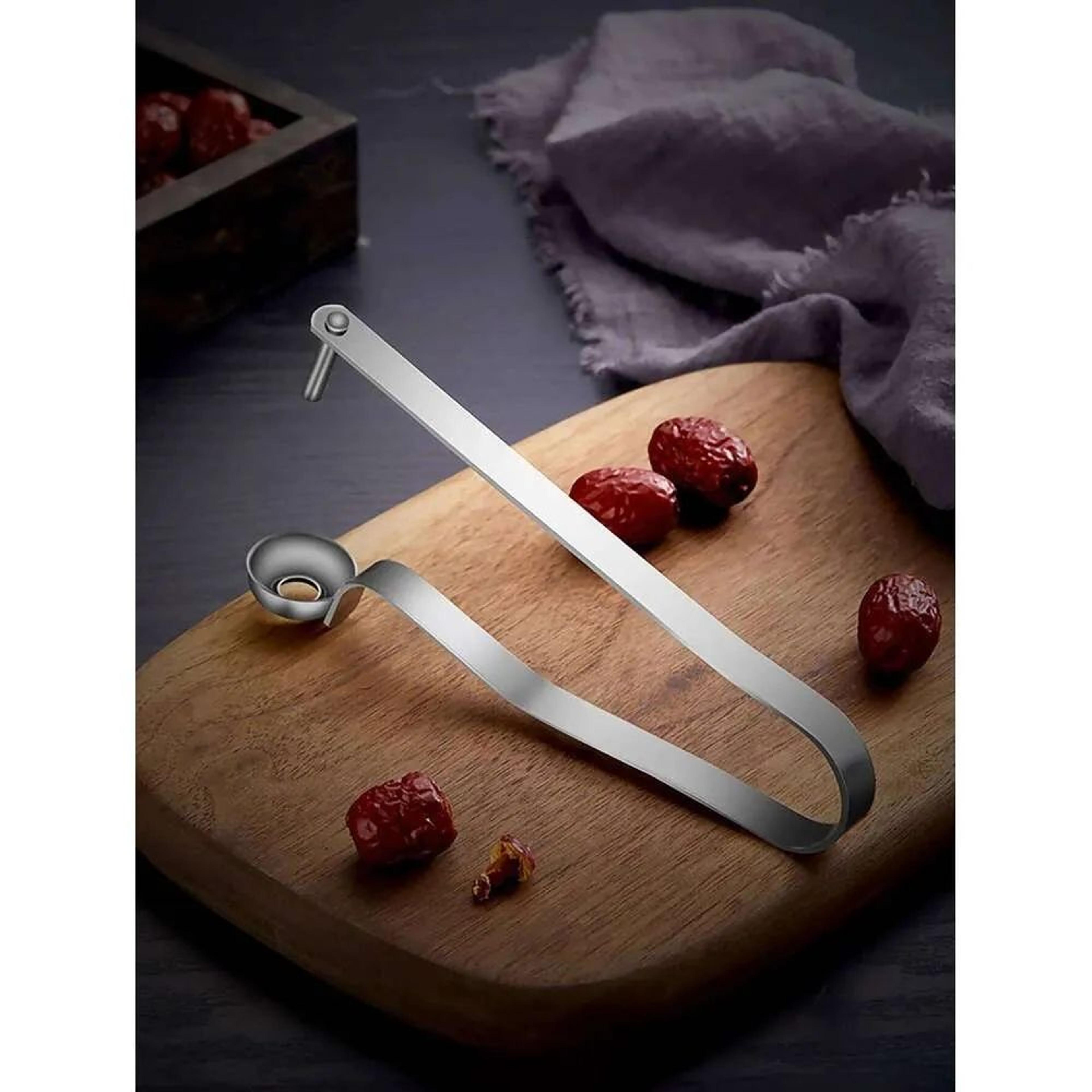 Stainless Steel Date Corer And Cherry Pitter Manual Fruit Seed Remover Tool 0