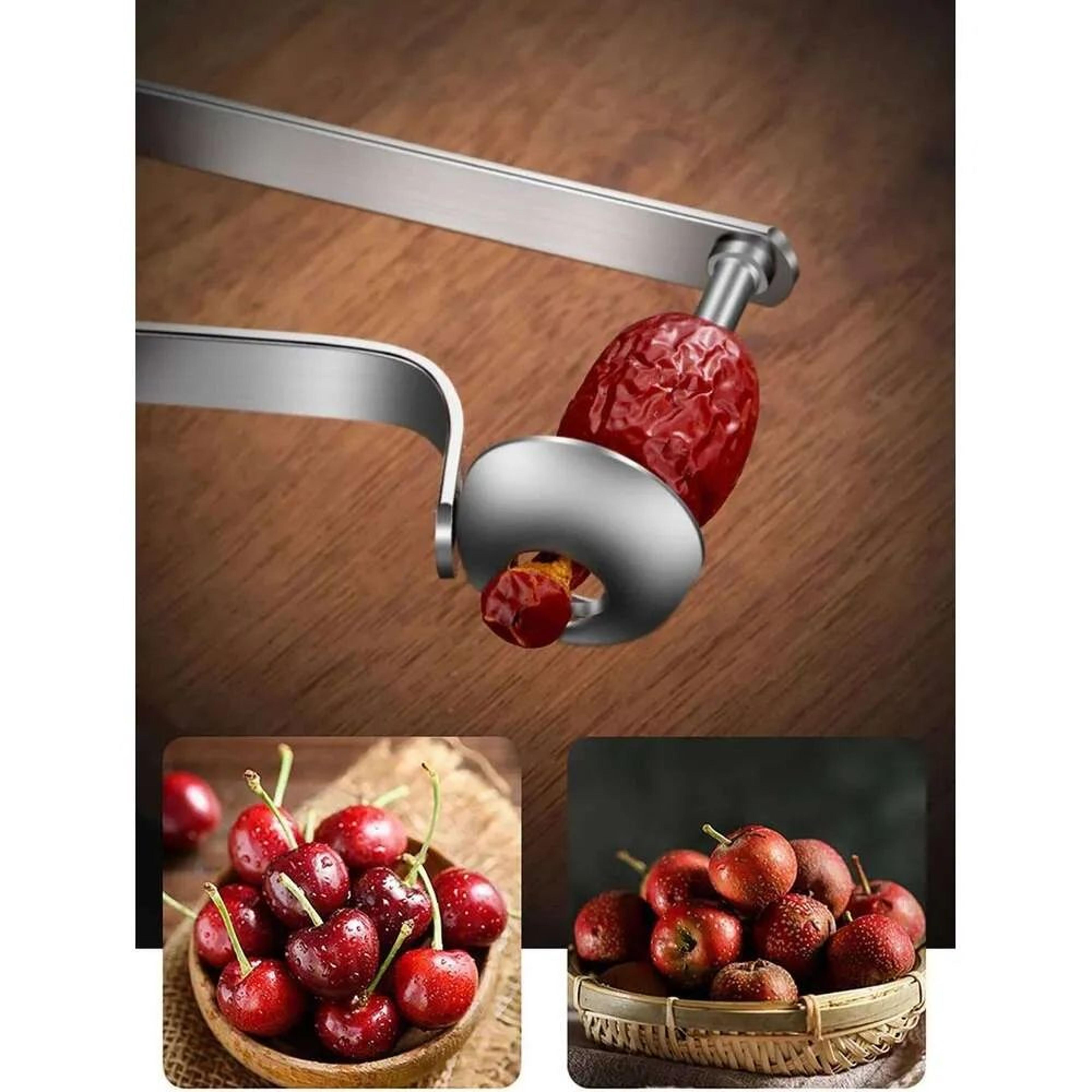 Stainless Steel Date Corer And Cherry Pitter Manual Fruit Seed Remover Tool 4