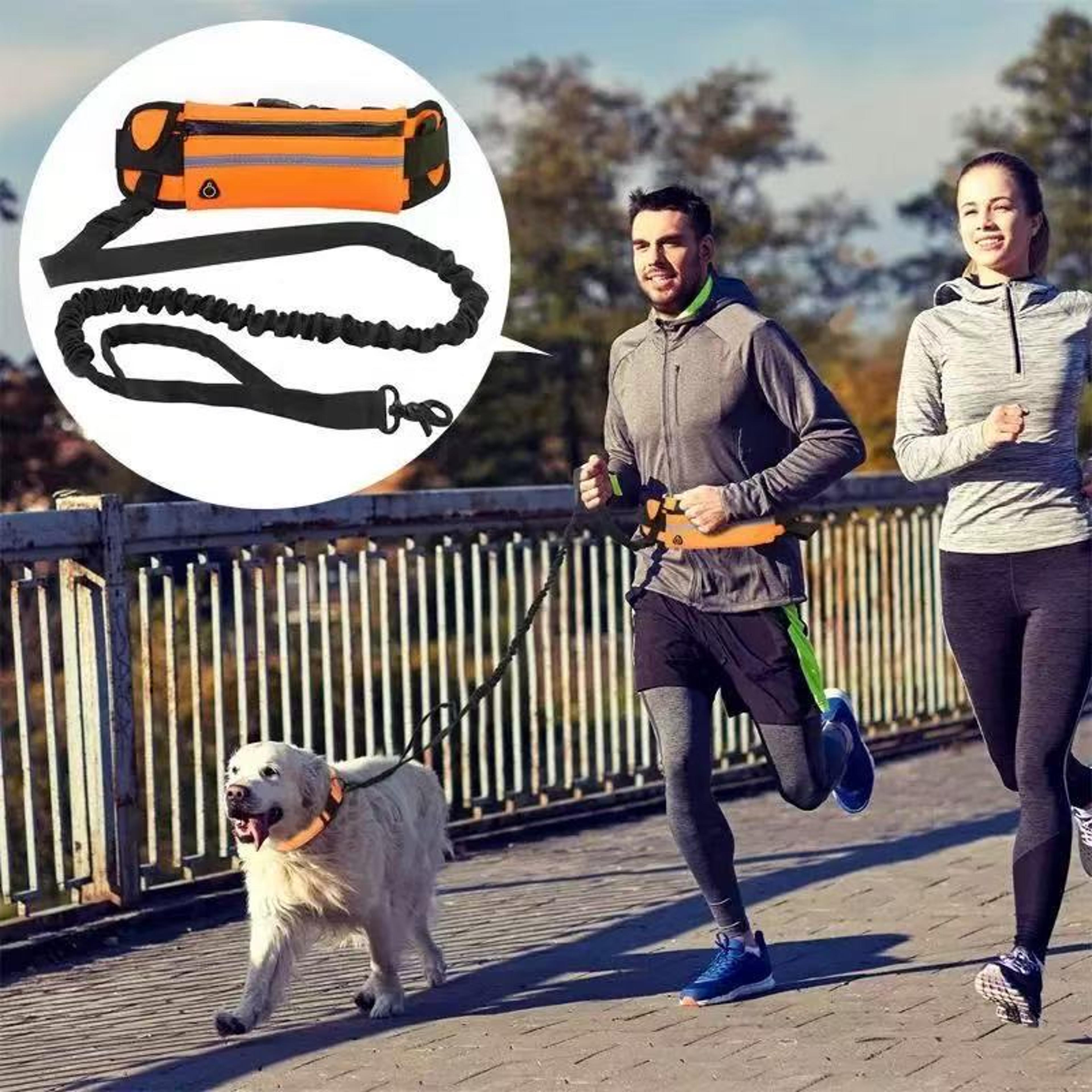 Reflective Hands Free Dog Leash With Running Belt And Waist Bag 2