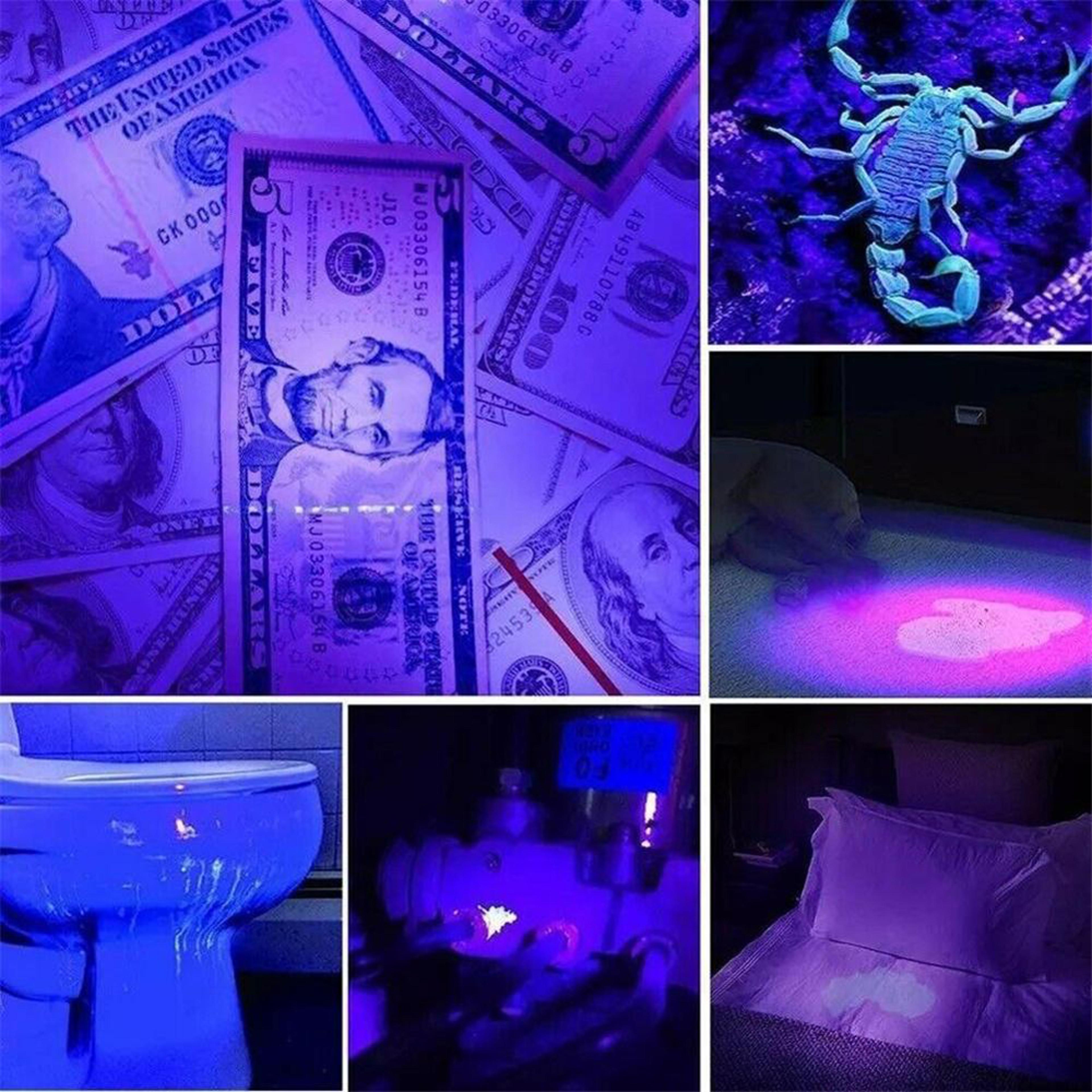 UV Flashlight Pet Urine Detector And Portable Blacklight 5