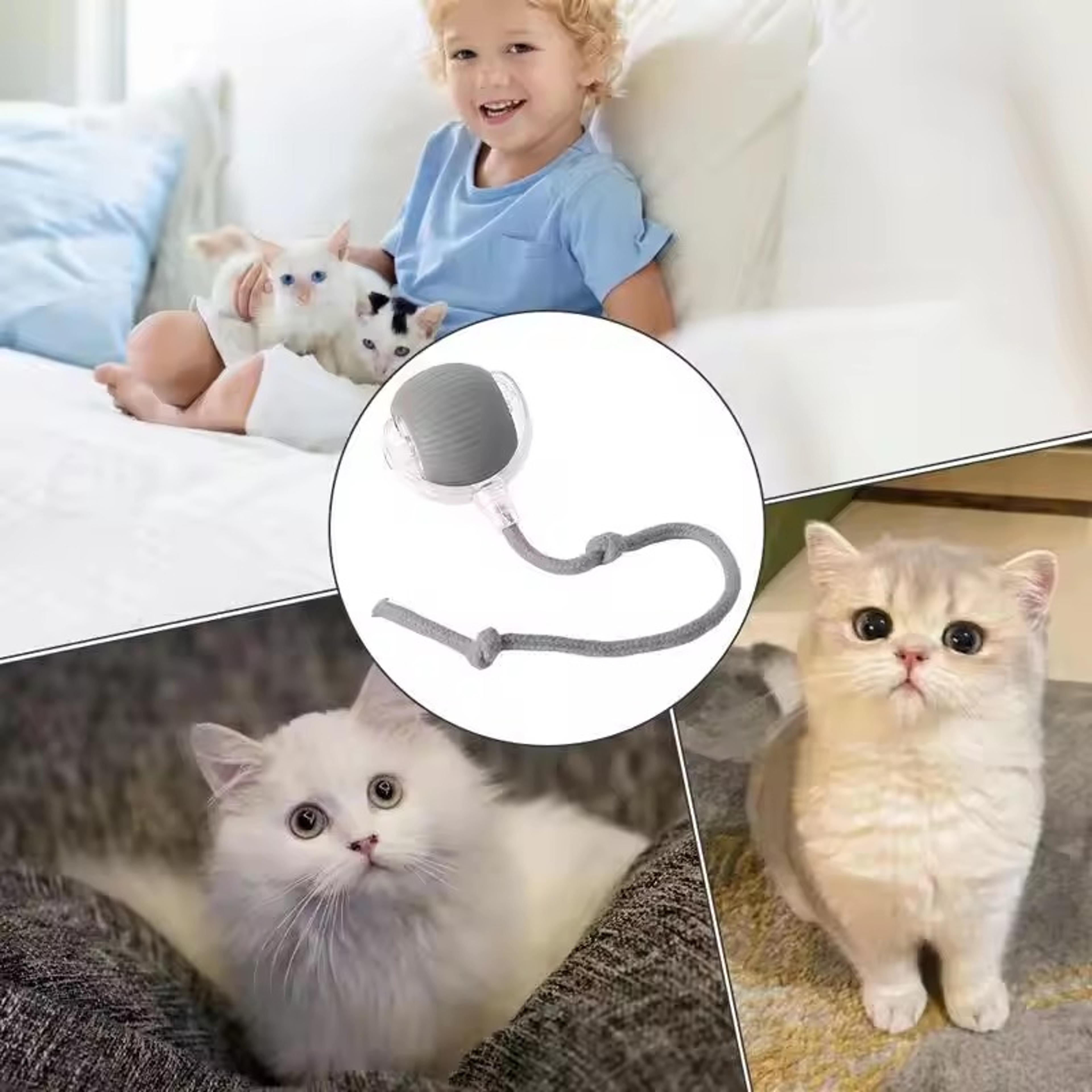 Smart Automatic Rolling Cat Ball With Mouse Tail 2