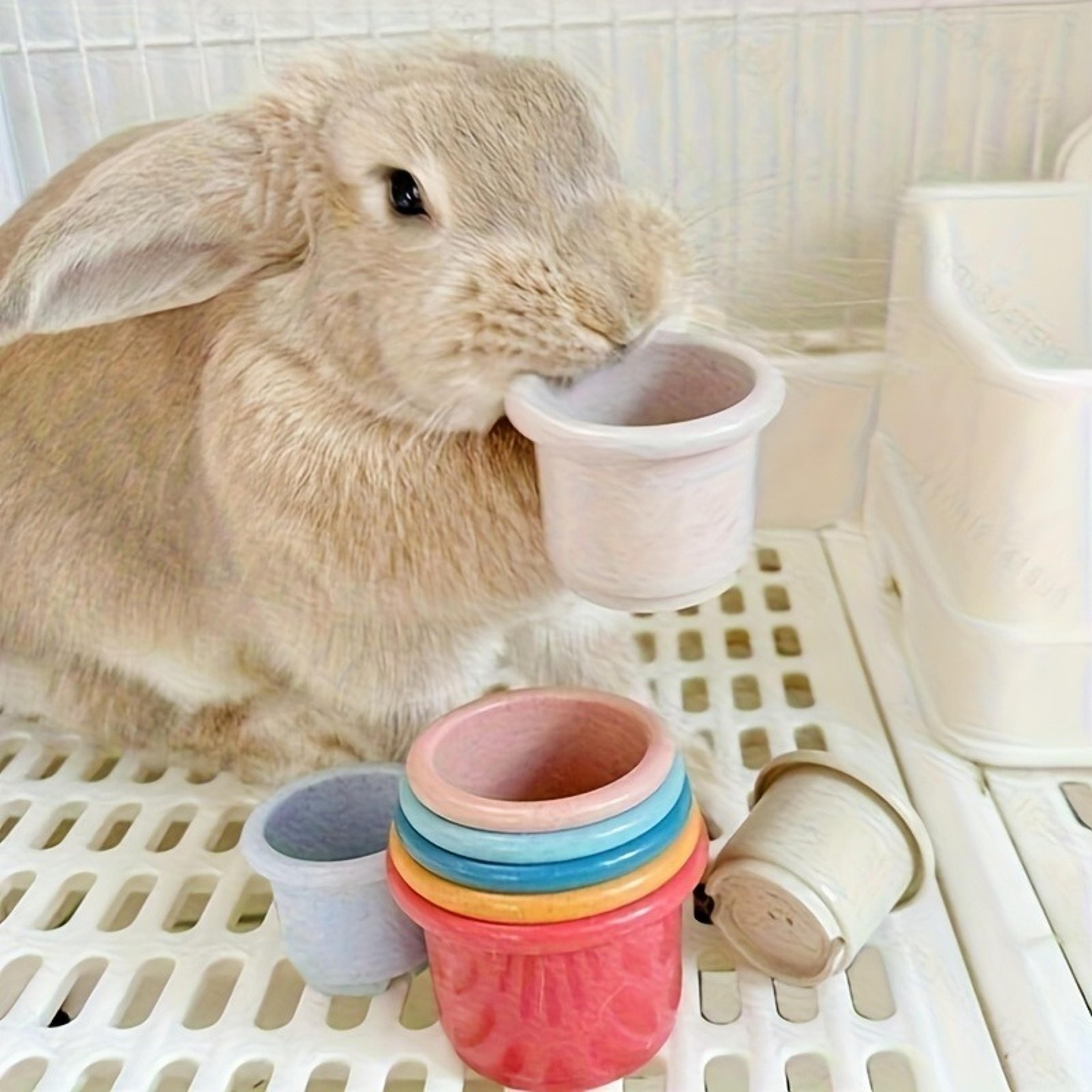 Colorful Rabbit Stacking Cups Enrichment Toy Set 0