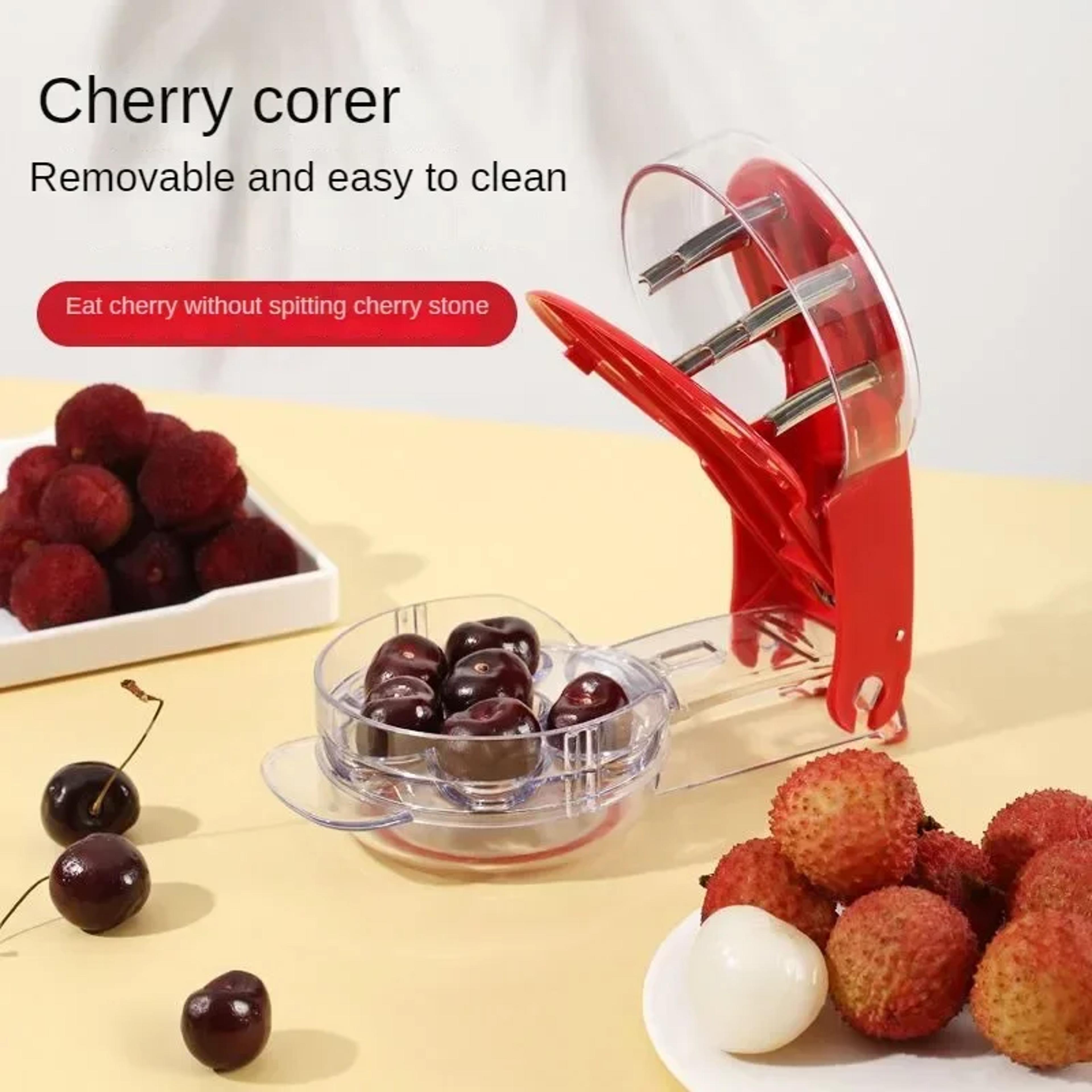 Stainless Steel Cherry Pitter Tool Hole Handheld Fruit Corer Remover 4