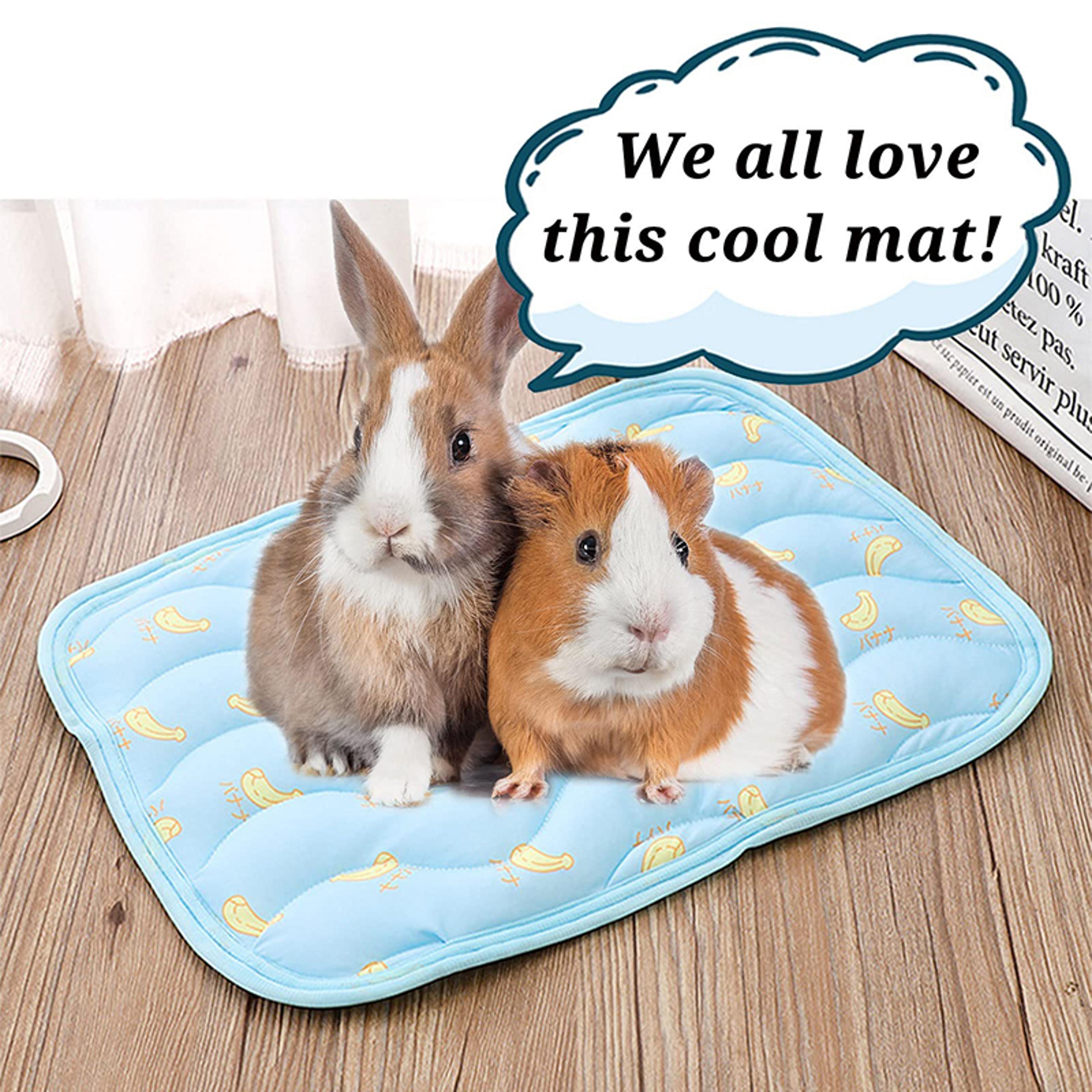 Ice Silk Cooling Pet Nest Cushion For Hamster Hedgehog Rabbit Small Animals 5