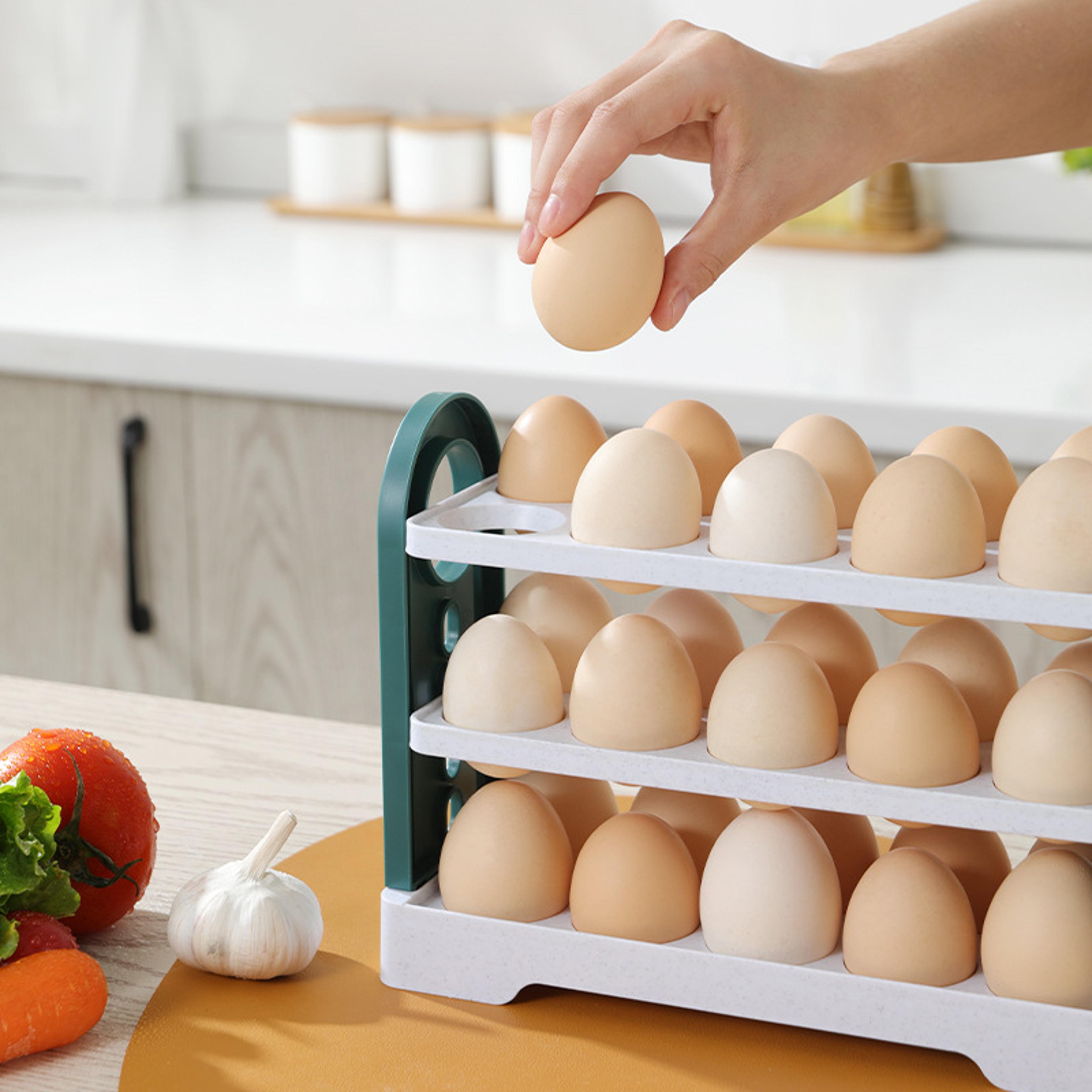 Refrigerator Egg Storage Box Side Door Organizer Tray 2